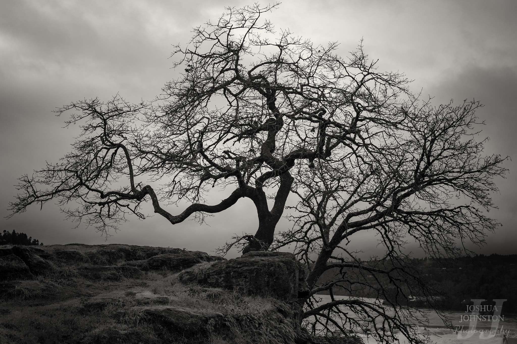 ZEISS Makro-Planar T* 50mm F2 sample photo. Sentinel on the bluff photography