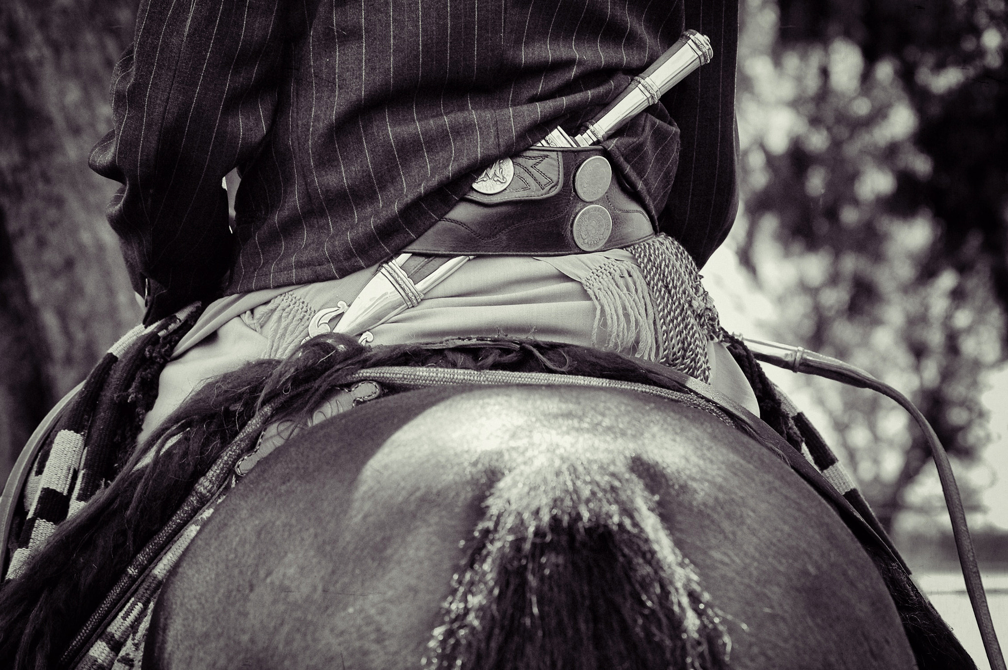 AF Zoom-Nikkor 80-200mm f/2.8 ED sample photo. Gaucho argentino photography