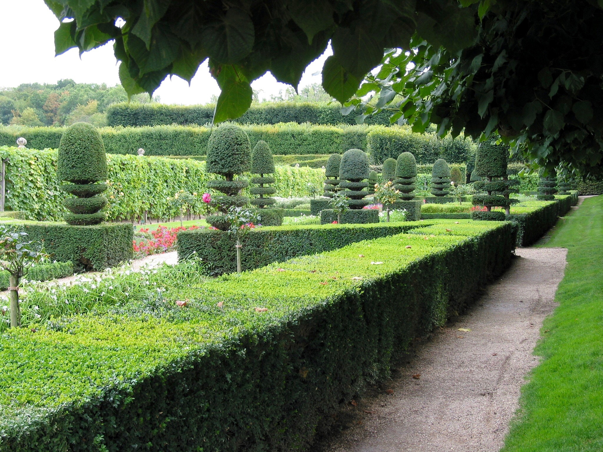 Canon POWERSHOT G2 sample photo. La taille du jardin photography