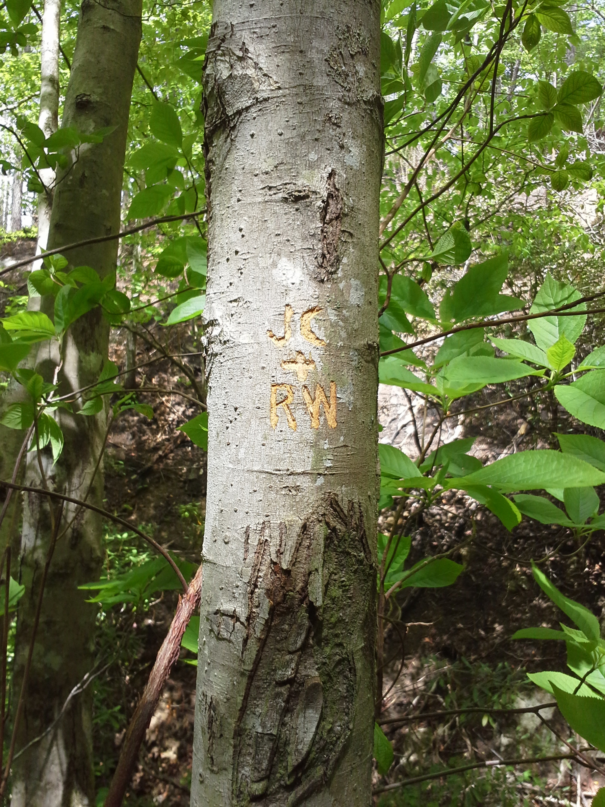 Samsung Galaxy S BlazeQ sample photo. 20150509_120124.jpg photography