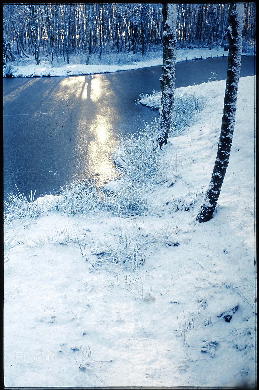 Canon EF 100mm F2.8 Macro USM sample photo. Cold blue.jpg photography