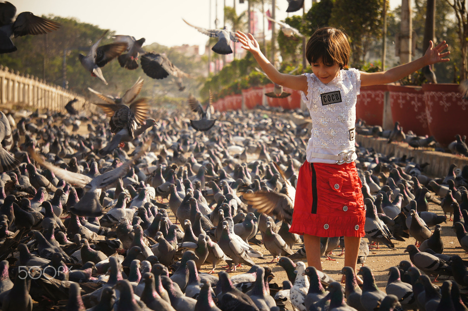 Sony Alpha NEX-C3 sample photo. #004 what makes me happy ? photography