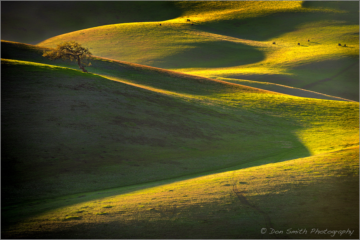 Sony a7 + Sony 70-400mm F4-5.6 G SSM sample photo. Late afternoon light on coastal hills photography