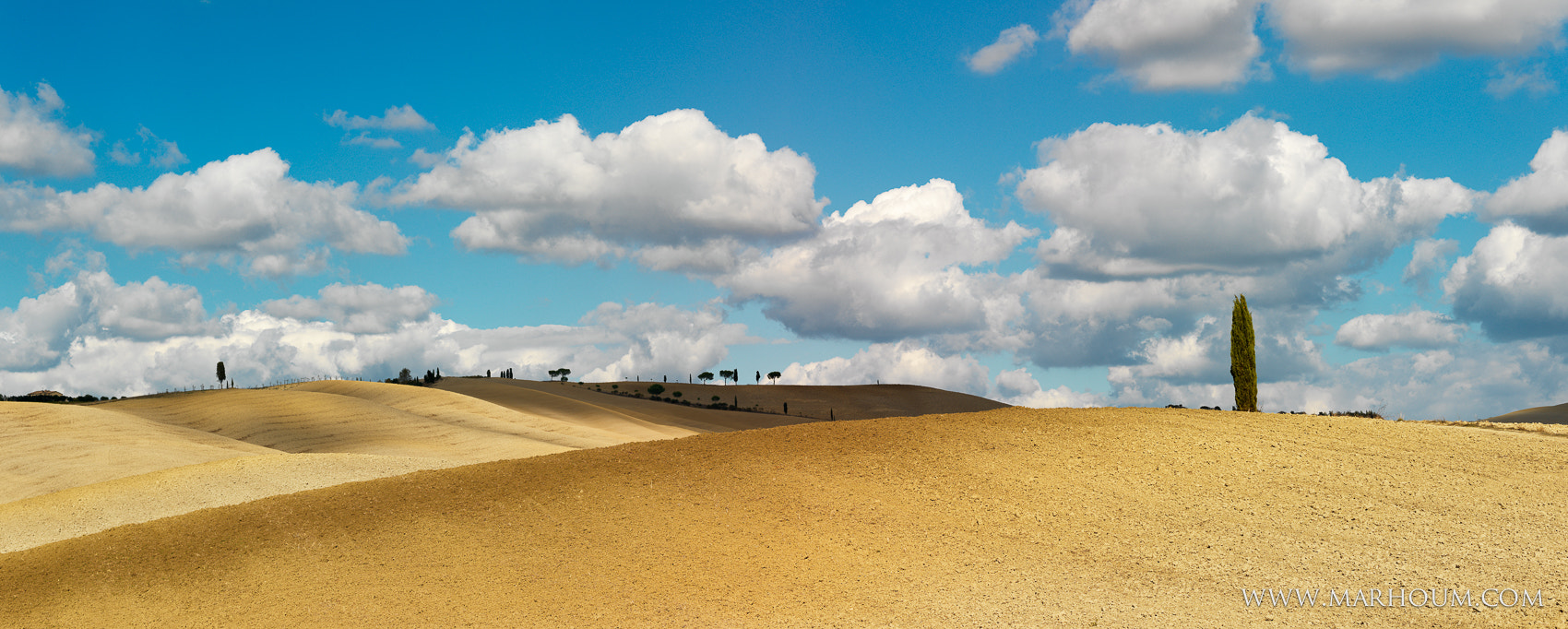 Hasselblad H4D-31 + HC 80 sample photo. Val d’orcia photography