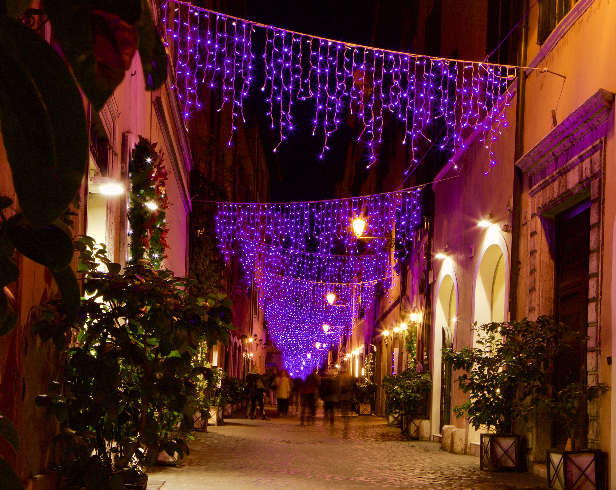 Canon TS-E 24.0mm f/3.5 L II sample photo. Christmas lights photography