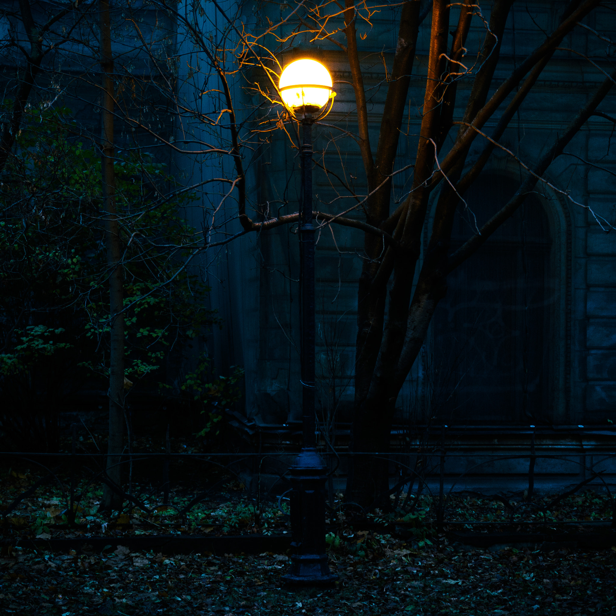 Canon EF 35mm F2 IS USM sample photo. The beacon photography