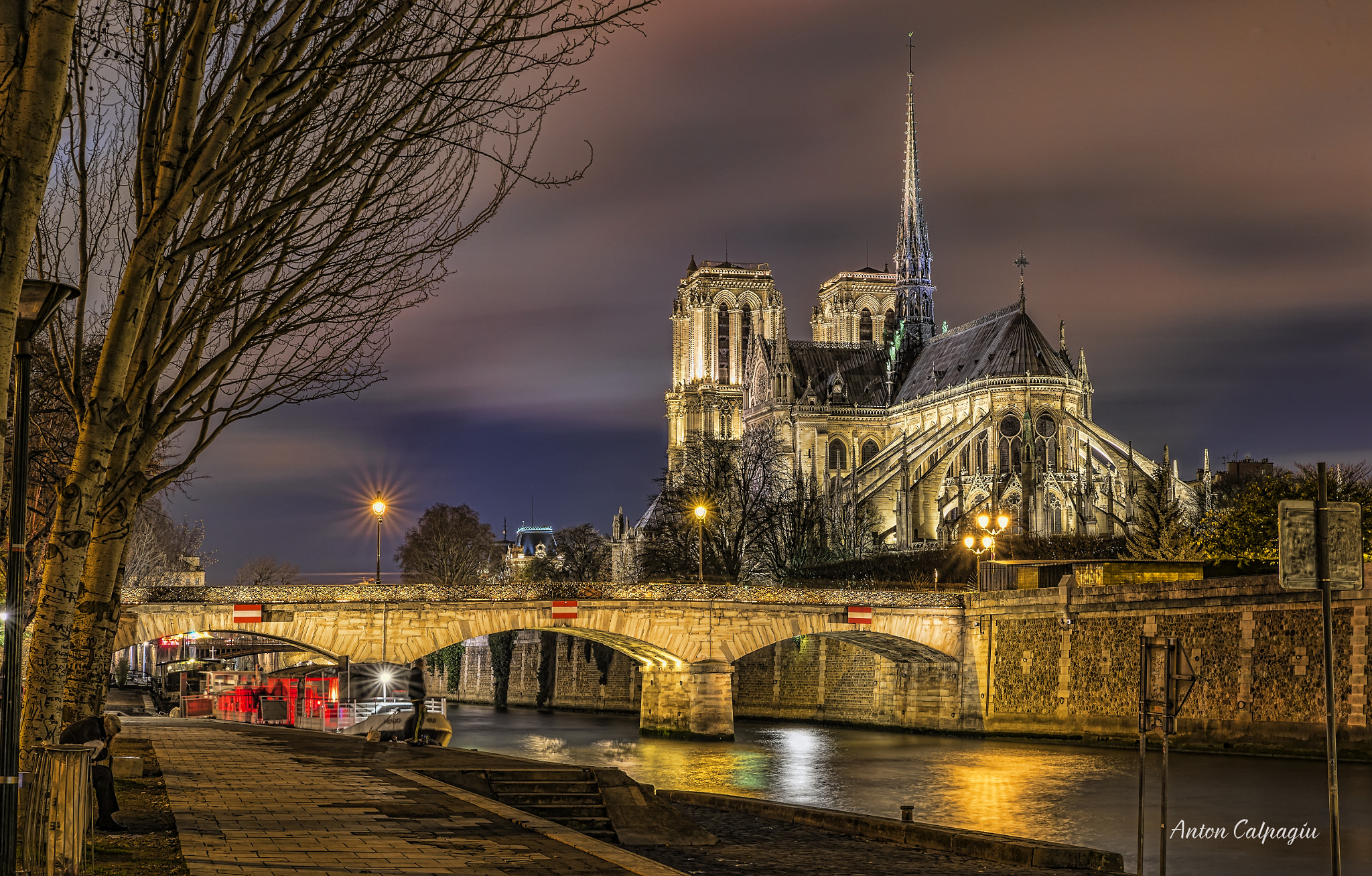Nikon Df sample photo. Notre dame de paris . photography