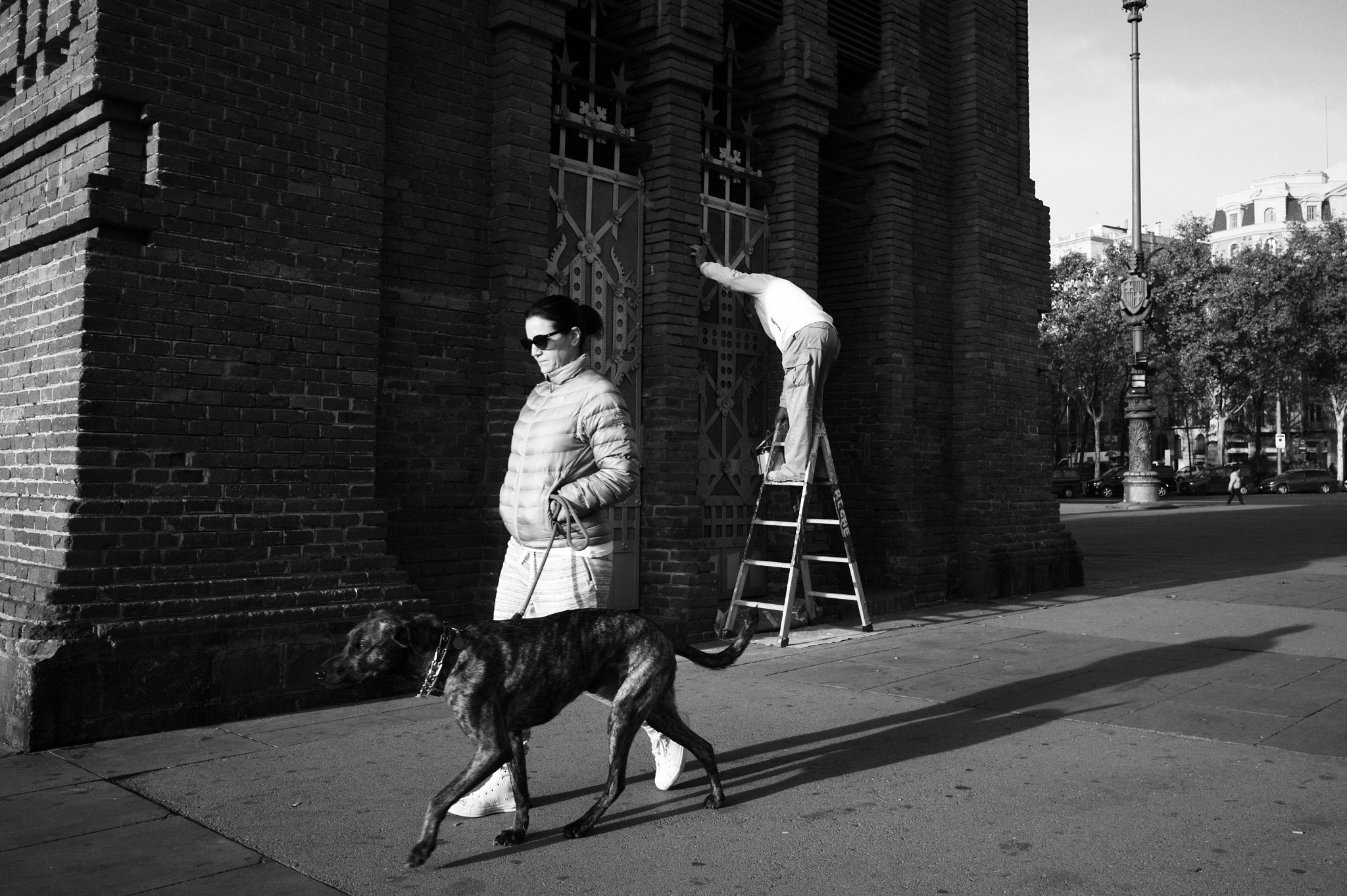 Leica Summicron-M 28mm F2 ASPH sample photo. Ladder photography