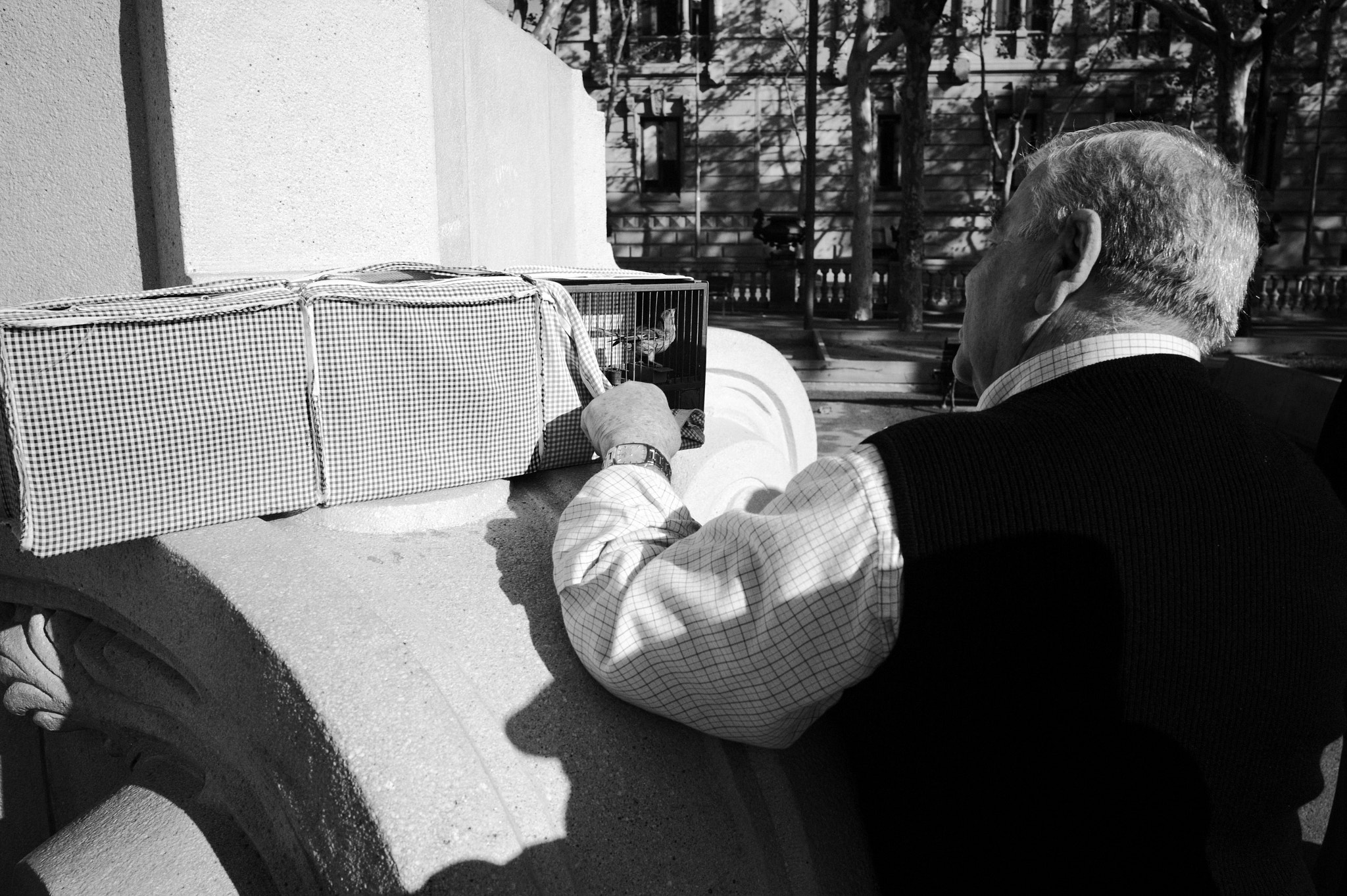 Leica M9 + Leica Summicron-M 28mm F2 ASPH sample photo. Bird view photography