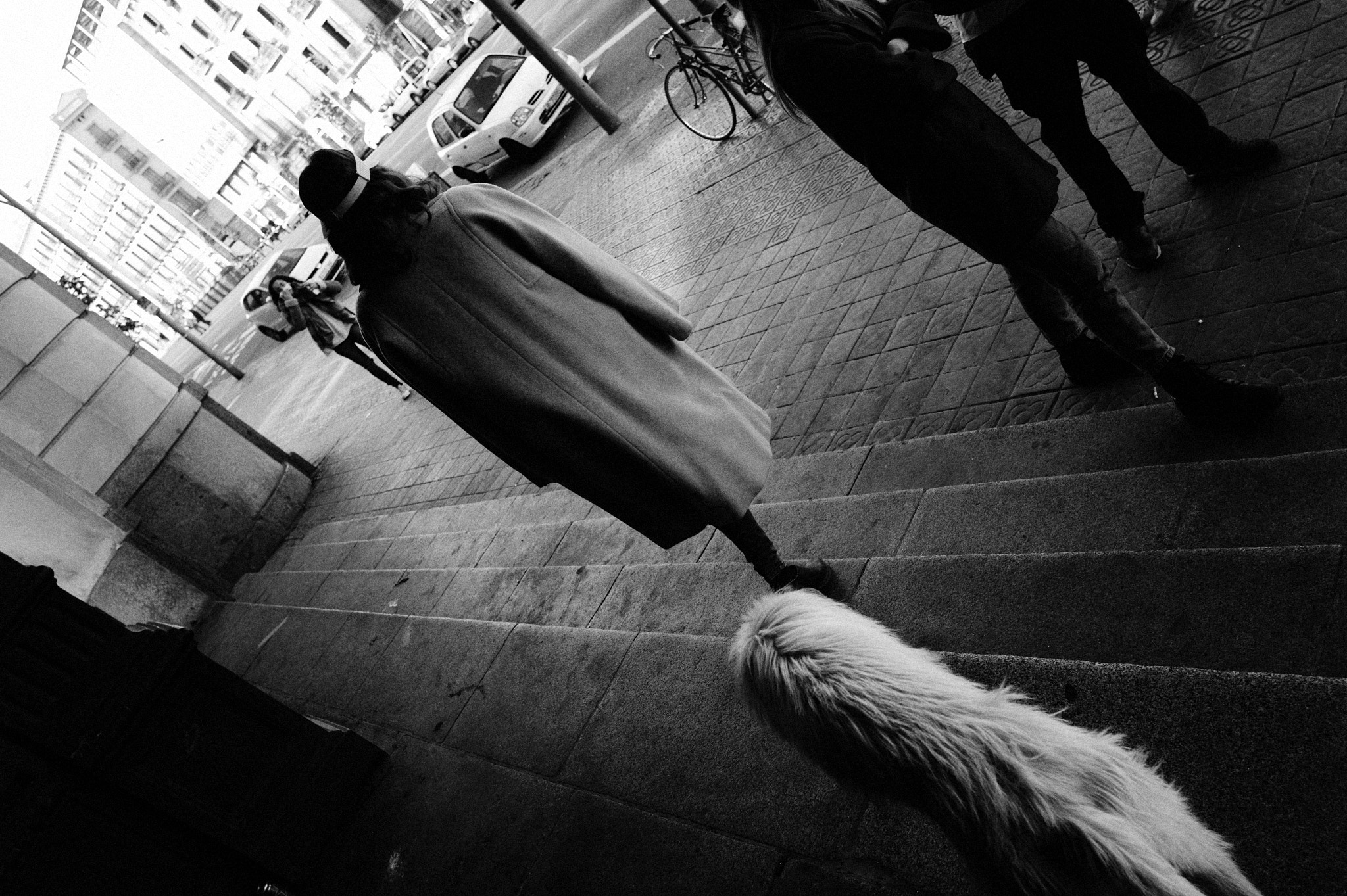 Leica M9 + Leica Summicron-M 28mm F2 ASPH sample photo. Fur follows photography