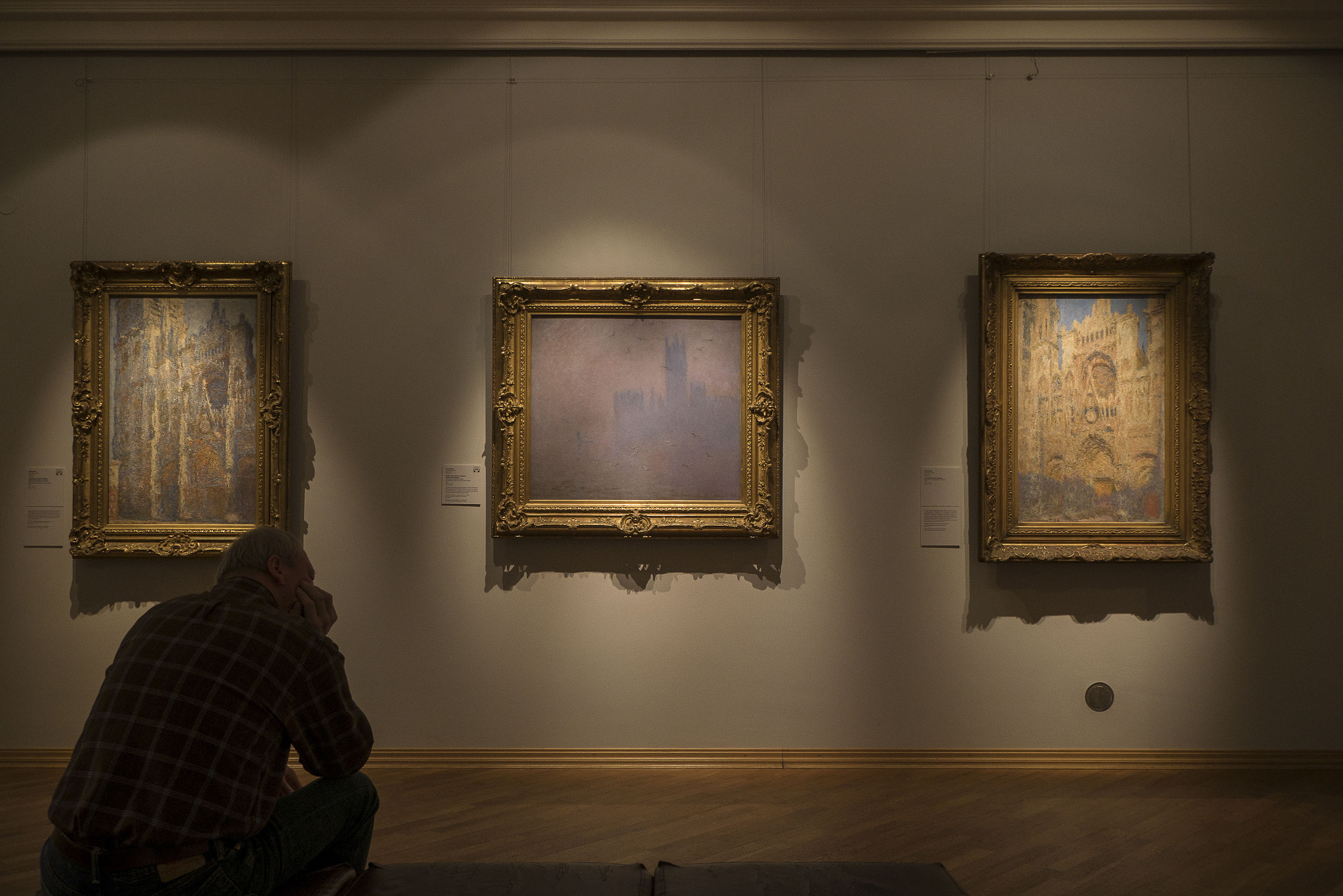 Panasonic Lumix DMC-GX7 sample photo. A man is looking at three monet paintings photography