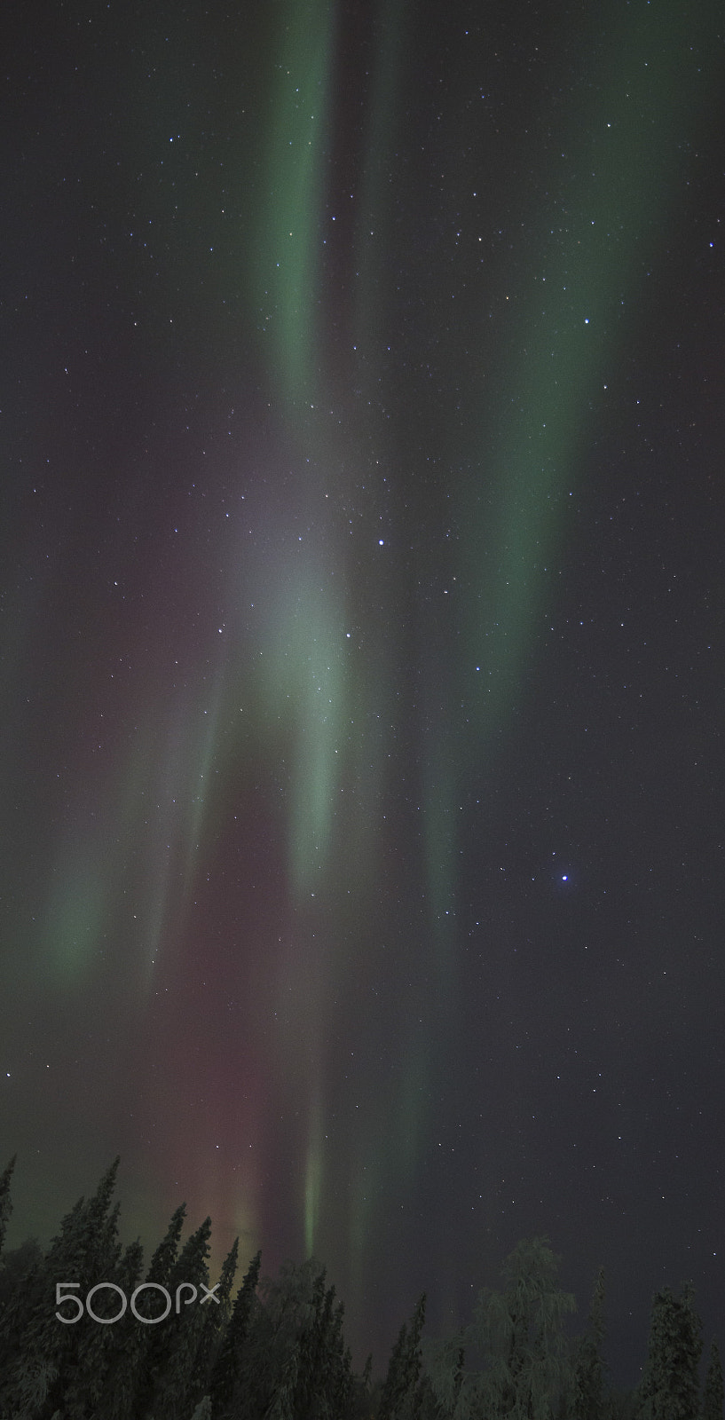 Sony Alpha DSLR-A580 + Minolta AF 50mm F1.7 sample photo. Northern lights near ruka photography