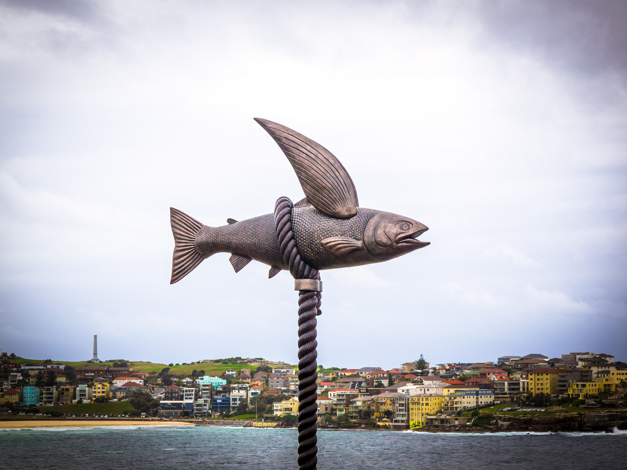 Olympus E-5 + OLYMPUS 14-54mm Lens sample photo. How to catch a flying fish photography