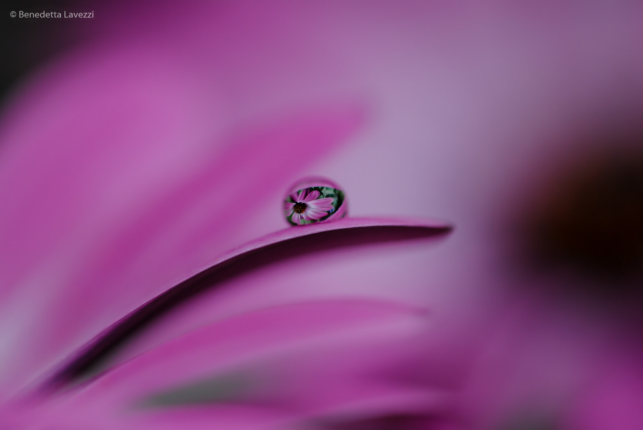 Sigma 105mm F2.8 EX DG OS HSM sample photo. Mirror photography