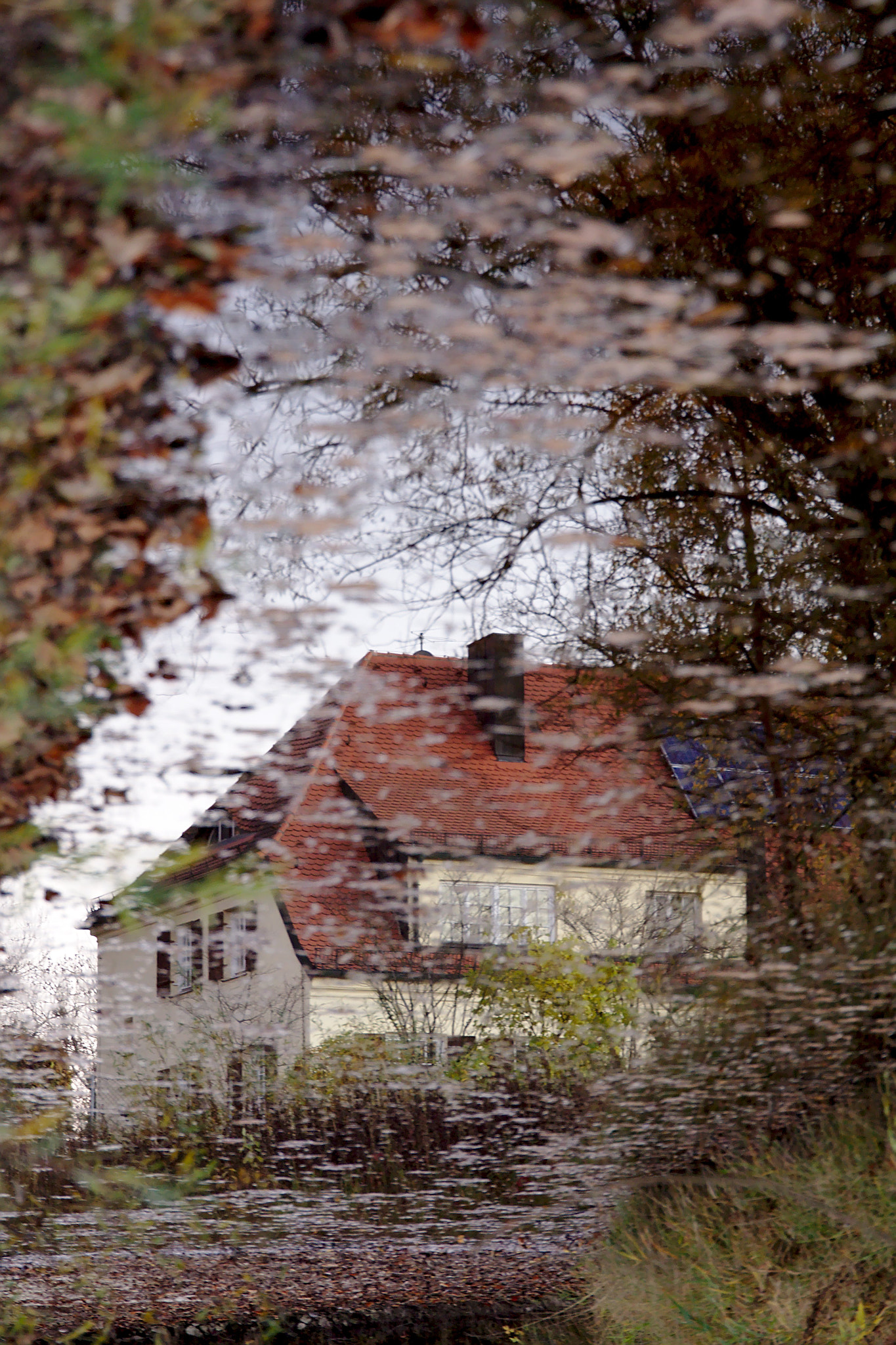 Sigma 24-105mm f/4 DG OS HSM | A sample photo. Upside down photography