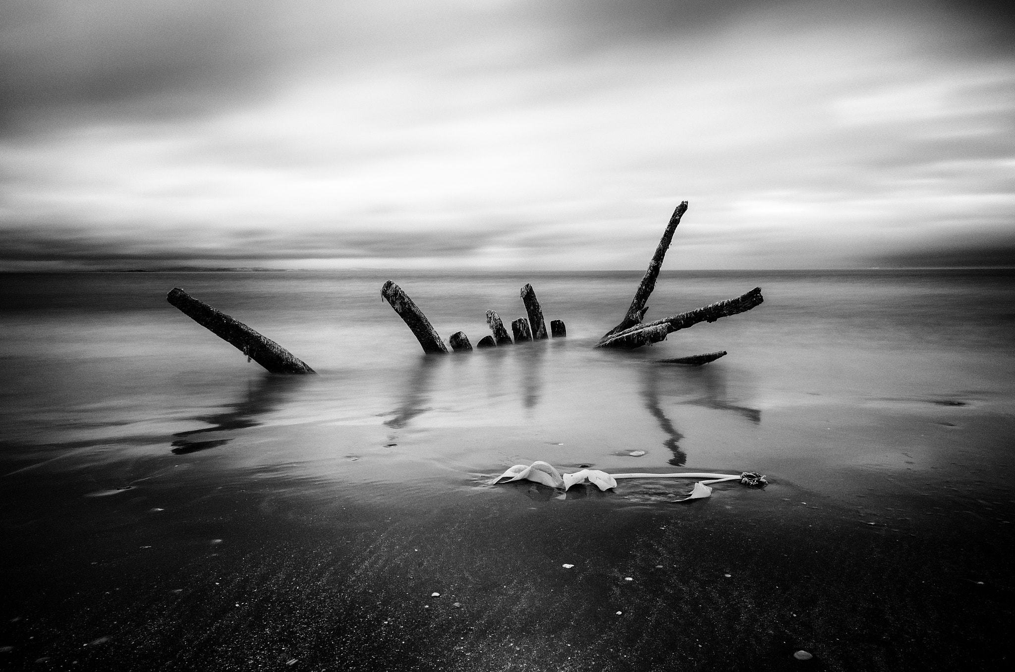 Nikon AF-S Nikkor 16-35mm F4G ED VR sample photo. The wreck and the seaweed wreath... photography