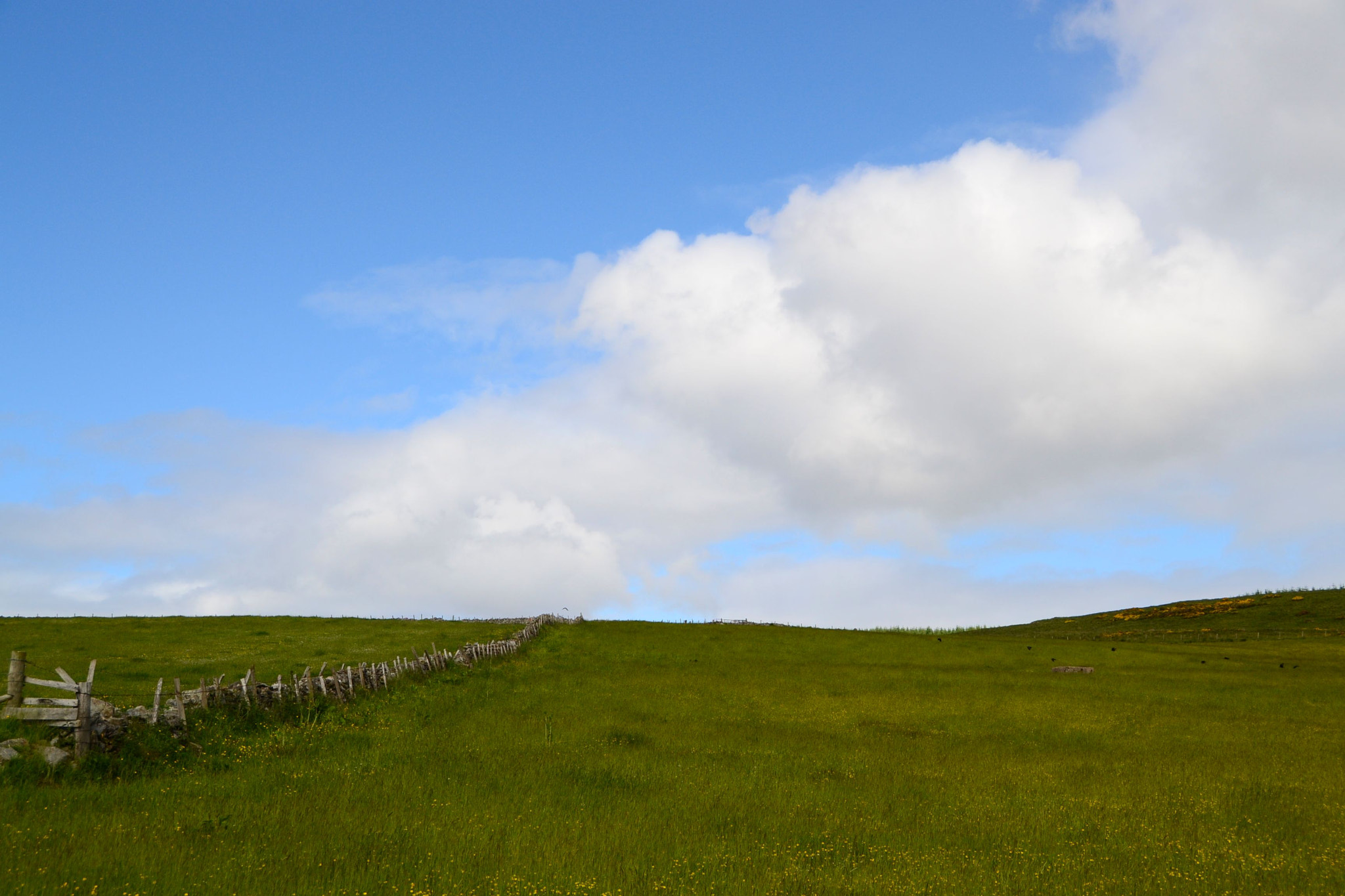 Sigma 18-250mm F3.5-6.3 DC OS HSM sample photo. Schottland photography