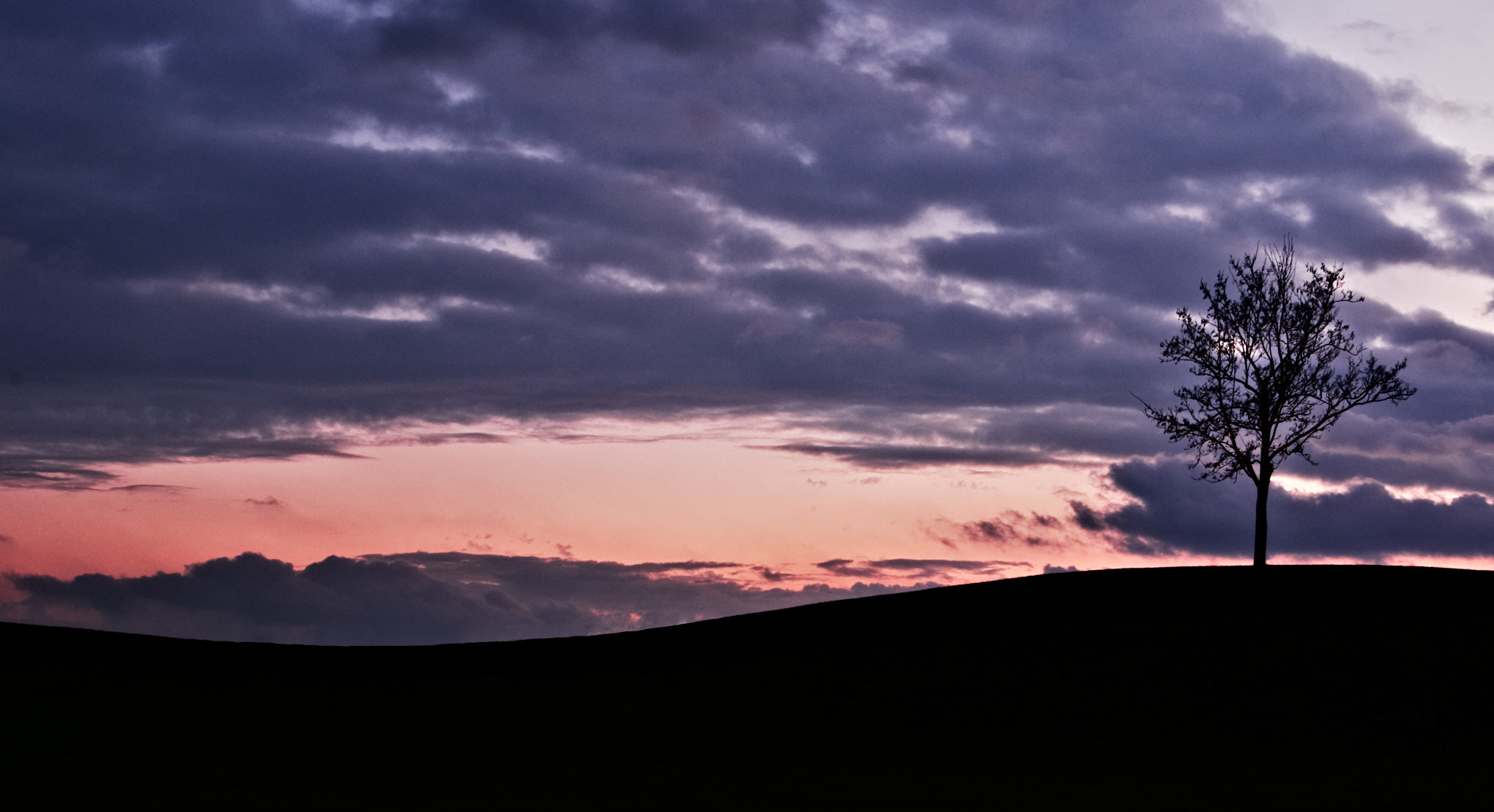Tamron AF 28-75mm F2.8 XR Di LD Aspherical (IF) sample photo. Lonely tree photography