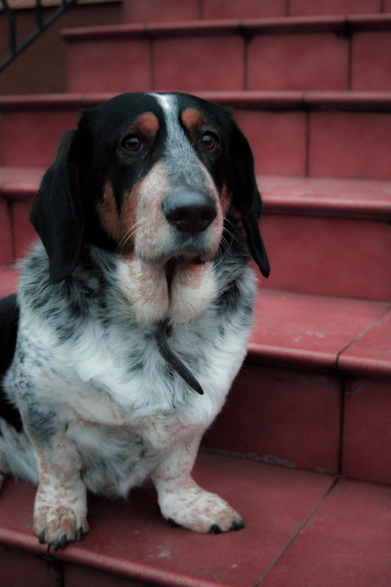 Minolta AF 35-70mm F3.5-4.5 [II] sample photo. Dukat :) photography