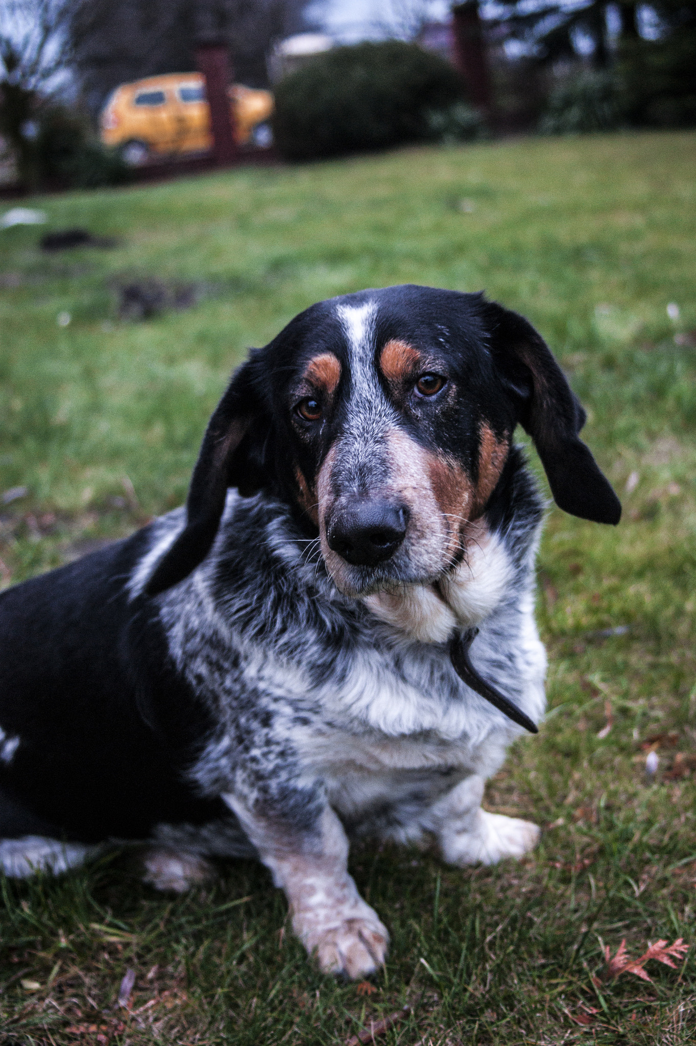 Minolta AF 35-70mm F3.5-4.5 [II] sample photo. Dukat :) photography