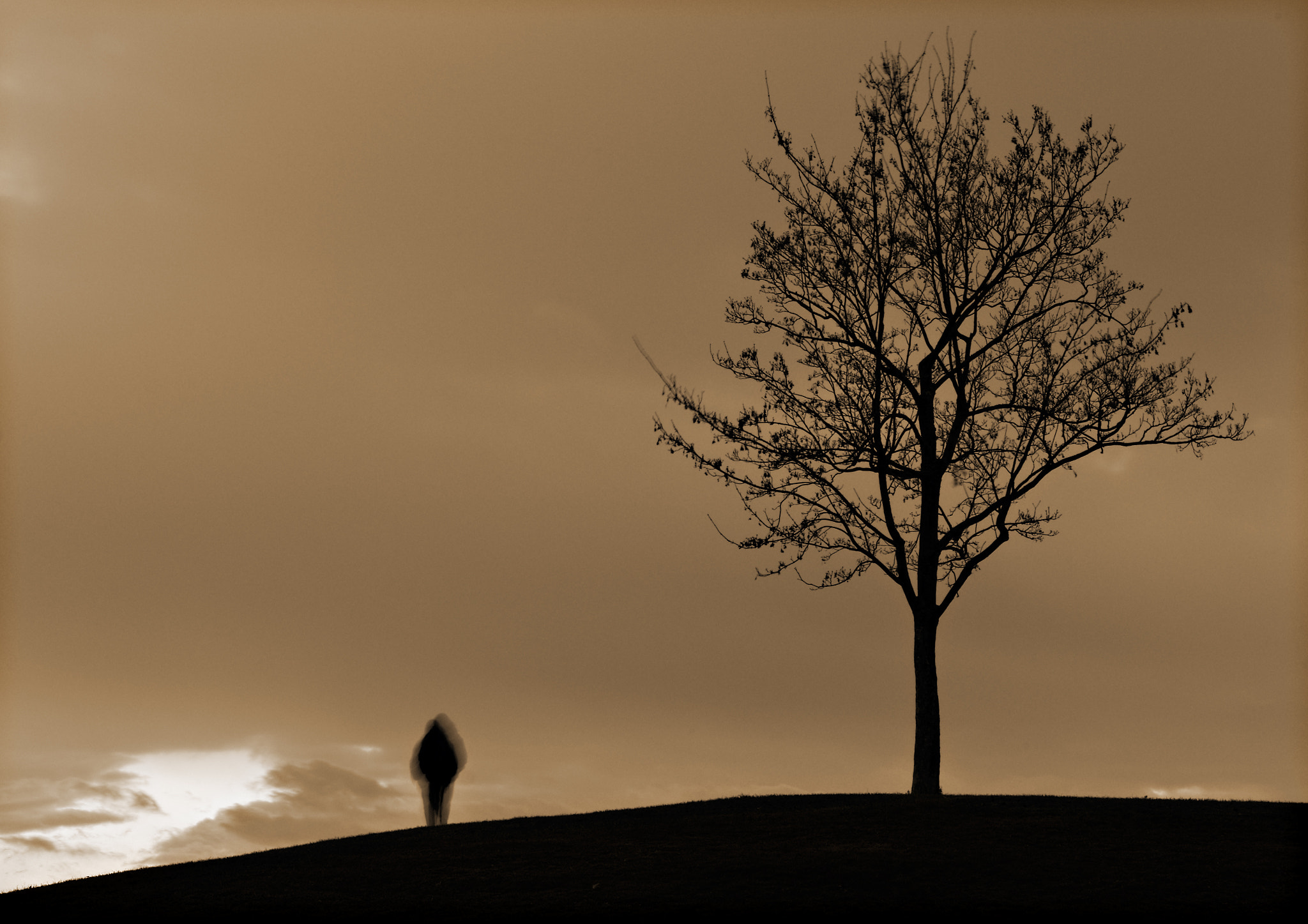 Tamron AF 28-75mm F2.8 XR Di LD Aspherical (IF) sample photo. Lonely tree photography