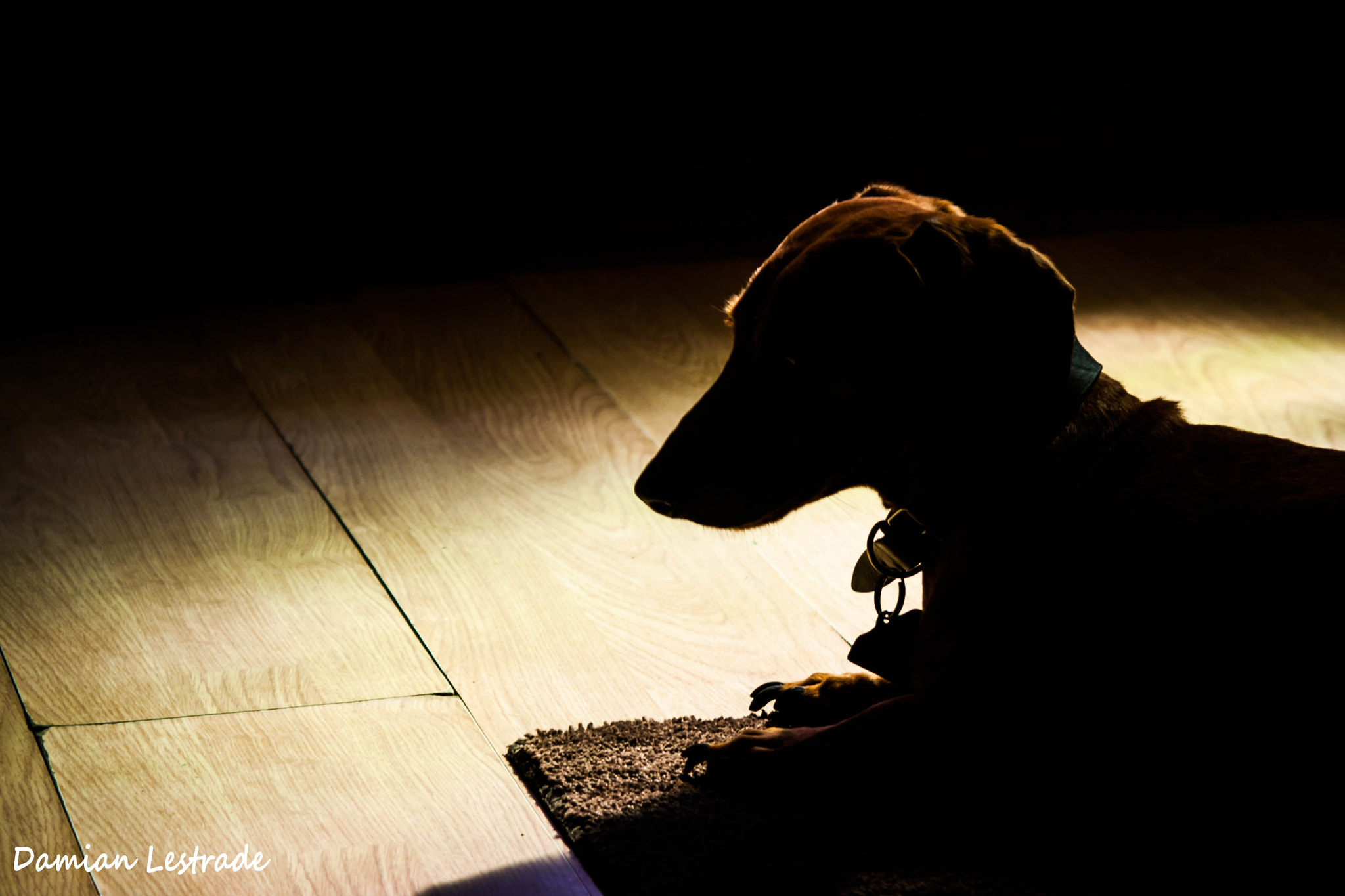 Canon EF 28-90mm f/4-5.6 sample photo. Emotive expected photography