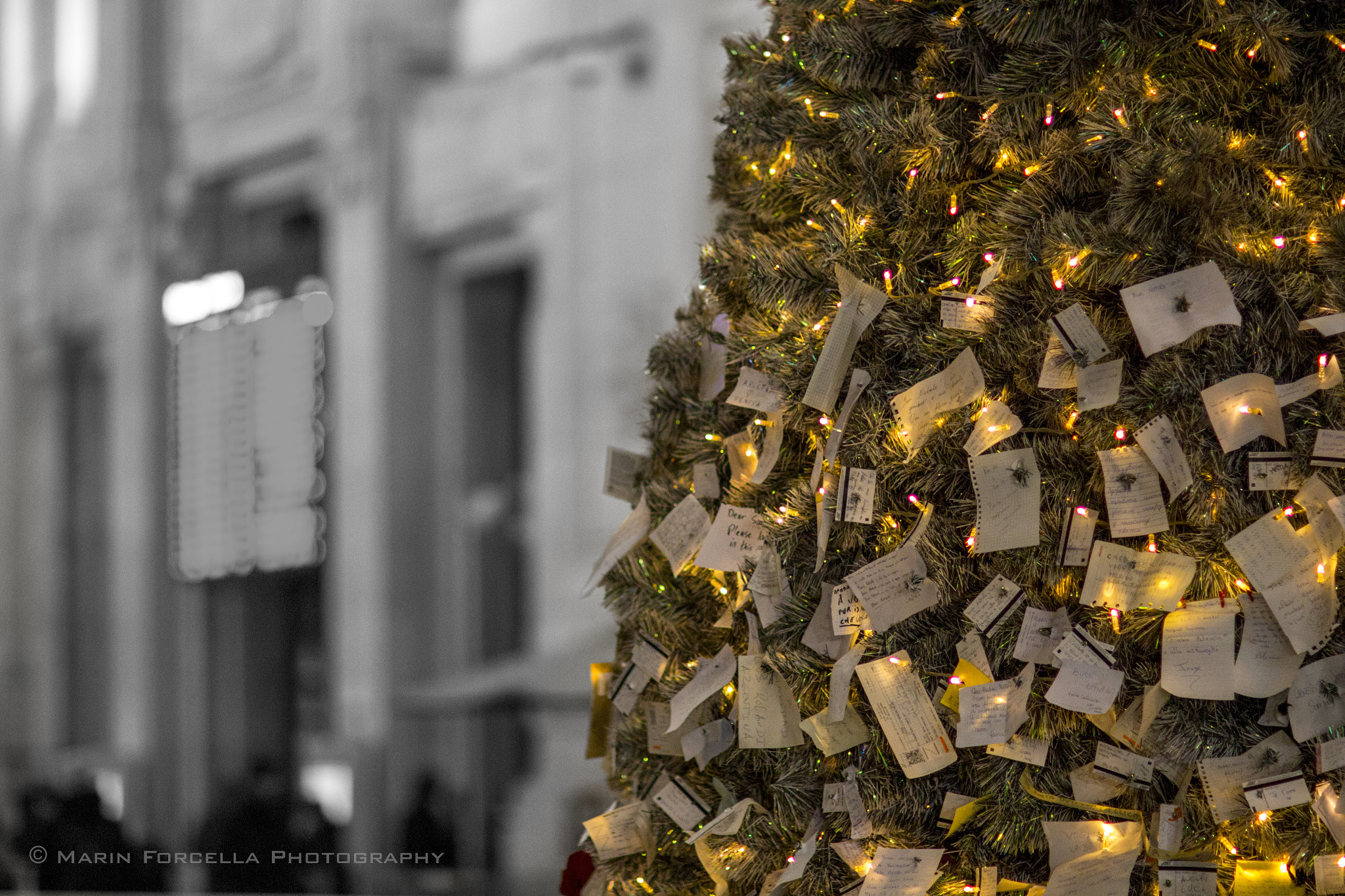 Canon EOS 700D (EOS Rebel T5i / EOS Kiss X7i) + Canon EF 85mm F1.2L II USM sample photo. Christmas tree photography