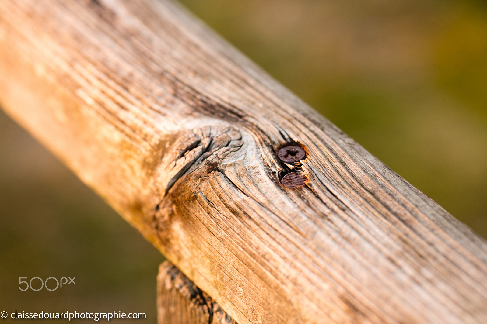 Canon EOS 5DS + Canon EF 135mm F2L USM sample photo. ____0h3a1804.jpg____ photography