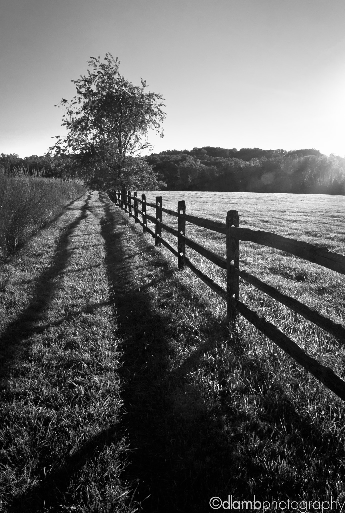 Sigma 17-70mm F2.8-4 DC Macro OS HSM sample photo. The grass is greener photography