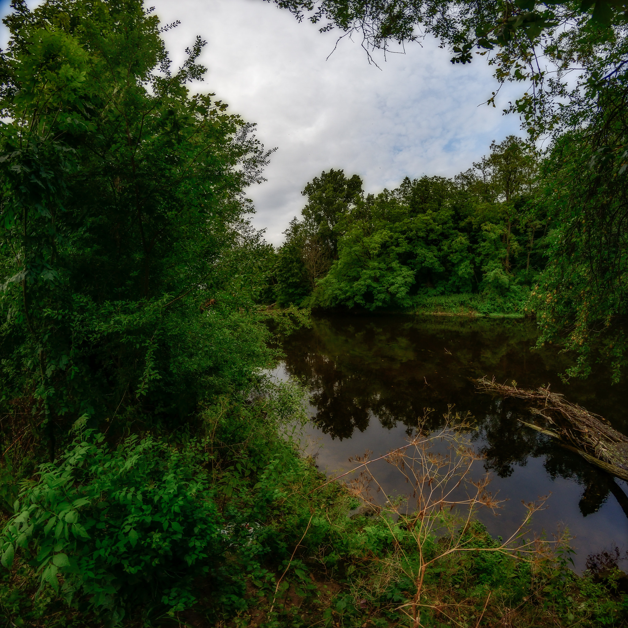 Samyang 8mm F3.5 Aspherical IF MC Fisheye sample photo. As there was summer... photography