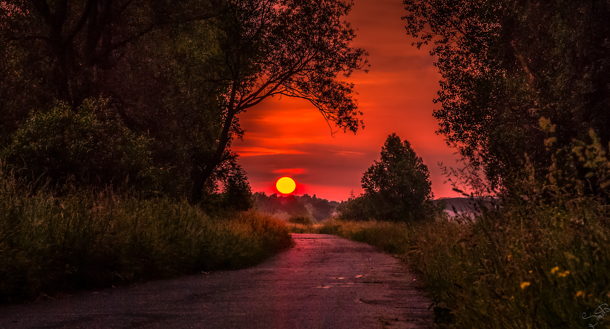 Sigma 17-70mm F2.8-4 DC Macro OS HSM | C sample photo. Sunrise rupeldijk photography