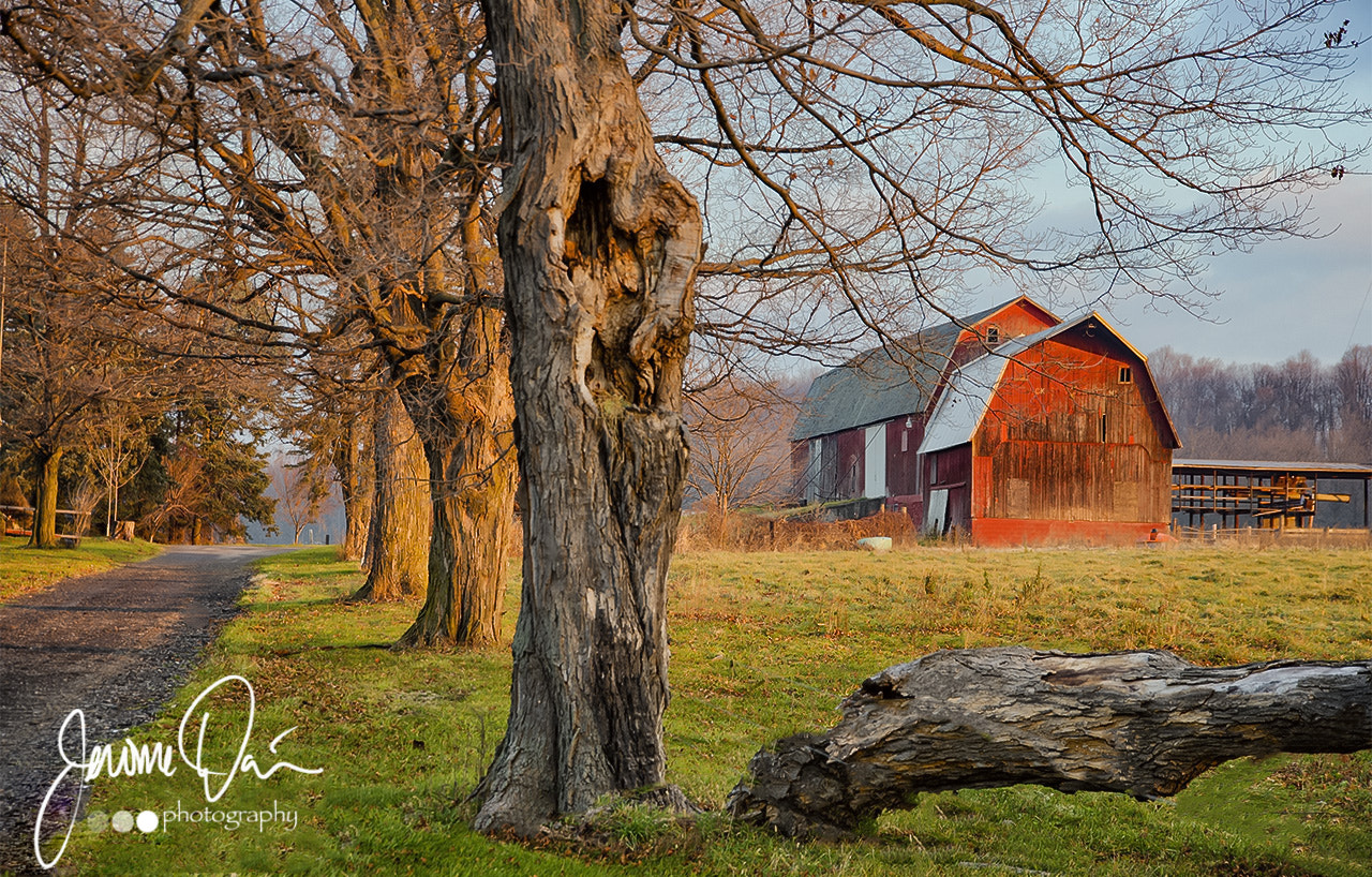 Sigma 24-105mm f/4 DG OS HSM | A sample photo. Nsbarncopy photography