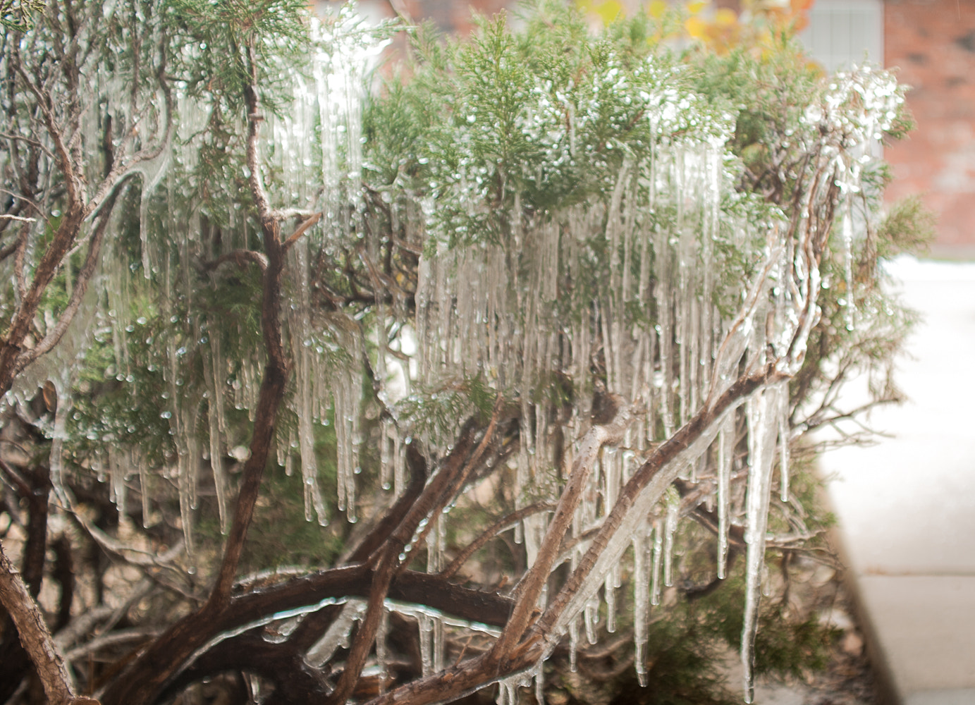 AF Zoom-Nikkor 35-135mm f/3.5-4.5 N sample photo. The thaw after the storm photography