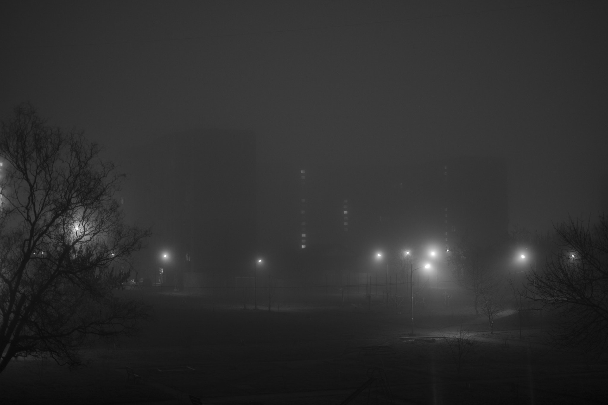 Canon EOS-1D Mark III sample photo. Brr photography
