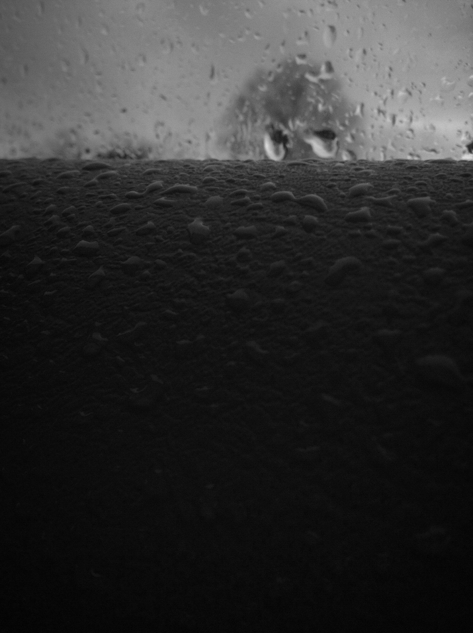 Apple iPod Touch (5 Gen) sample photo. Rainy grays photography