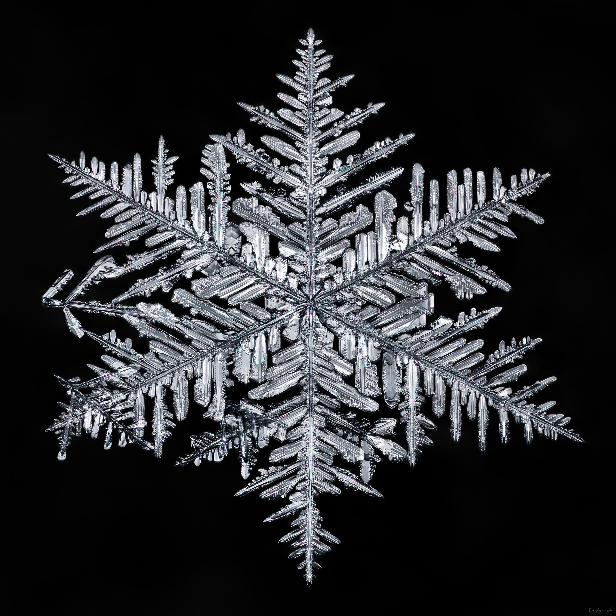 Canon MP-E 65mm F2.5 1-5x Macro Photo sample photo. Snowflake-a-day #16 photography