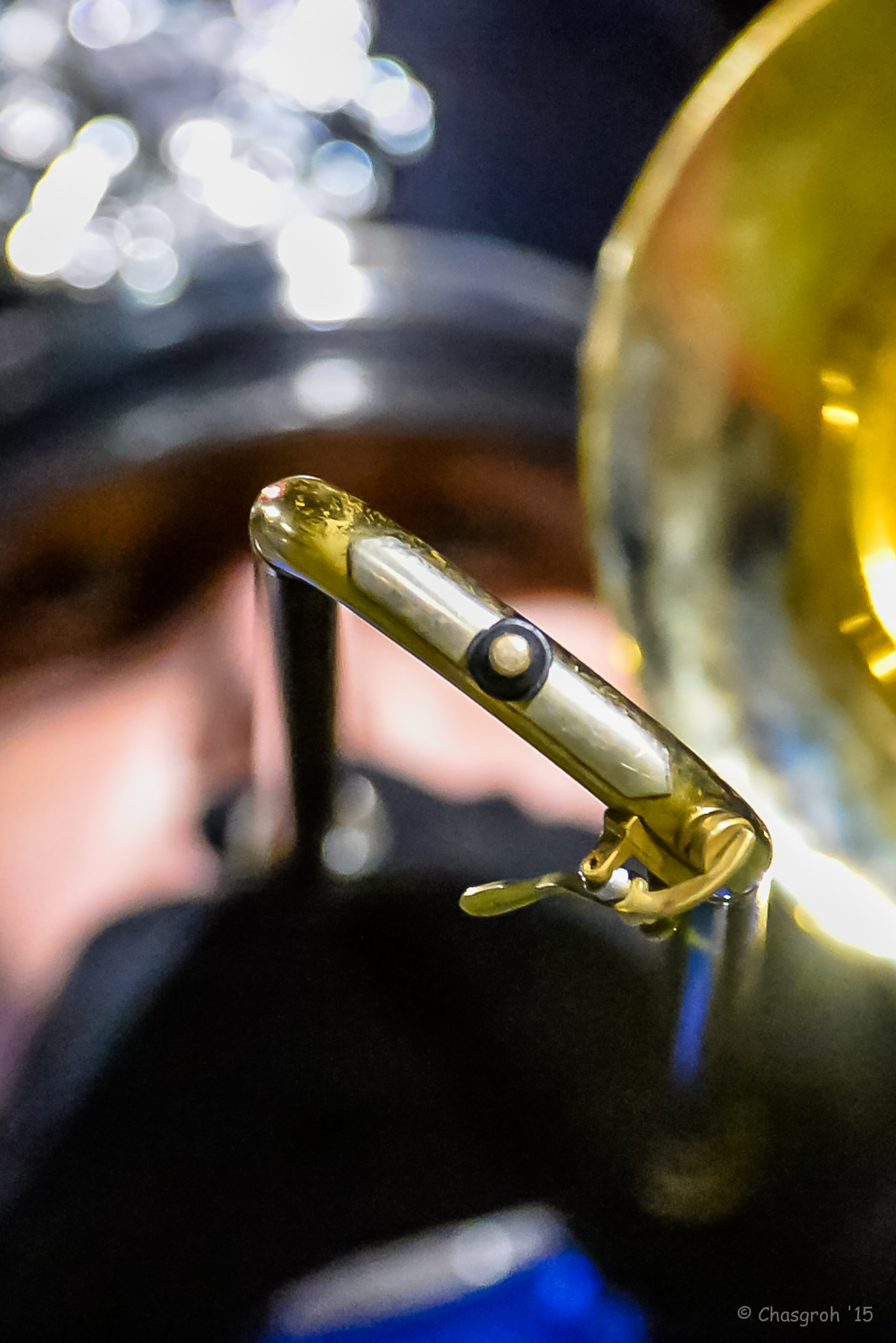 Nikon AF-S Nikkor 200-400mm F4G ED-IF VR sample photo. Trombonium perspective photography