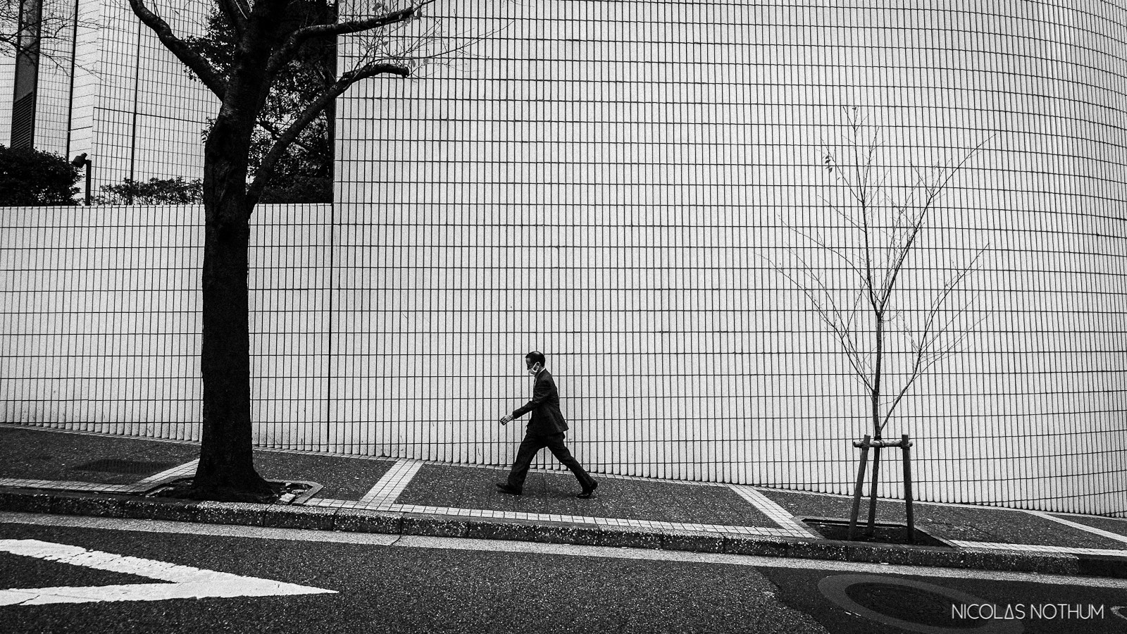 Sigma 12-24mm F4.5-5.6 II DG HSM sample photo. Passing by photography