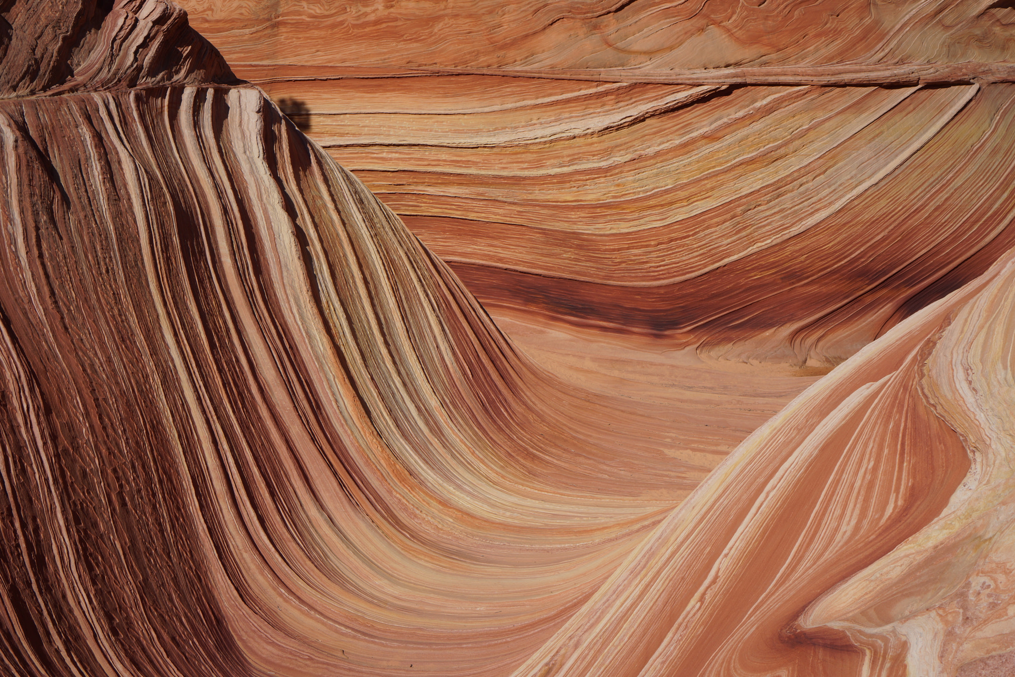Sony Alpha NEX-7 + Sony E 35mm F1.8 OSS sample photo. The wave - vermilion cliffs national monument photography