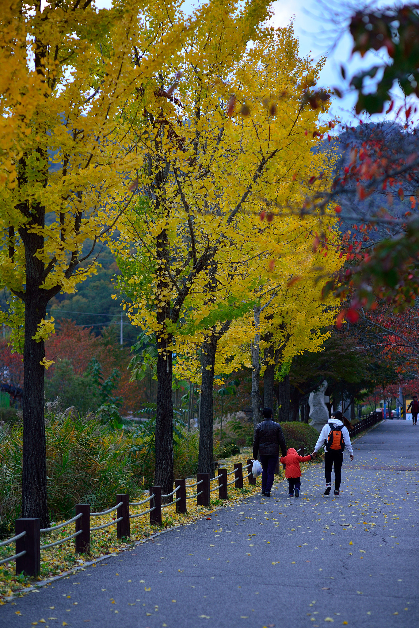 Nikon D610 + Nikon AF Nikkor 85mm F1.4D sample photo. Dsc_6071.jpg photography