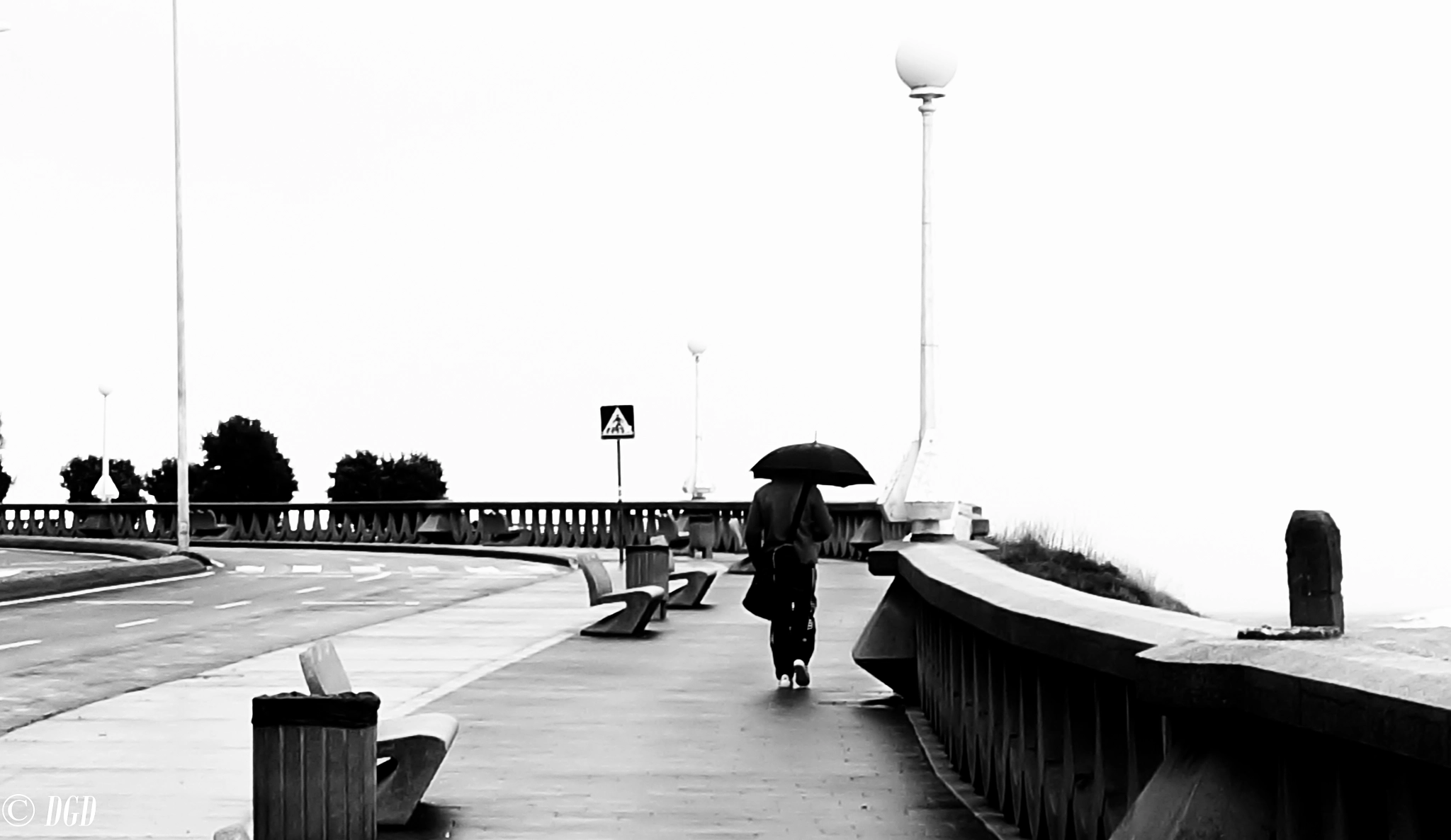 Sony Alpha NEX-3N + Sigma 19mm F2.8 EX DN sample photo. Bajo la lluvia! photography