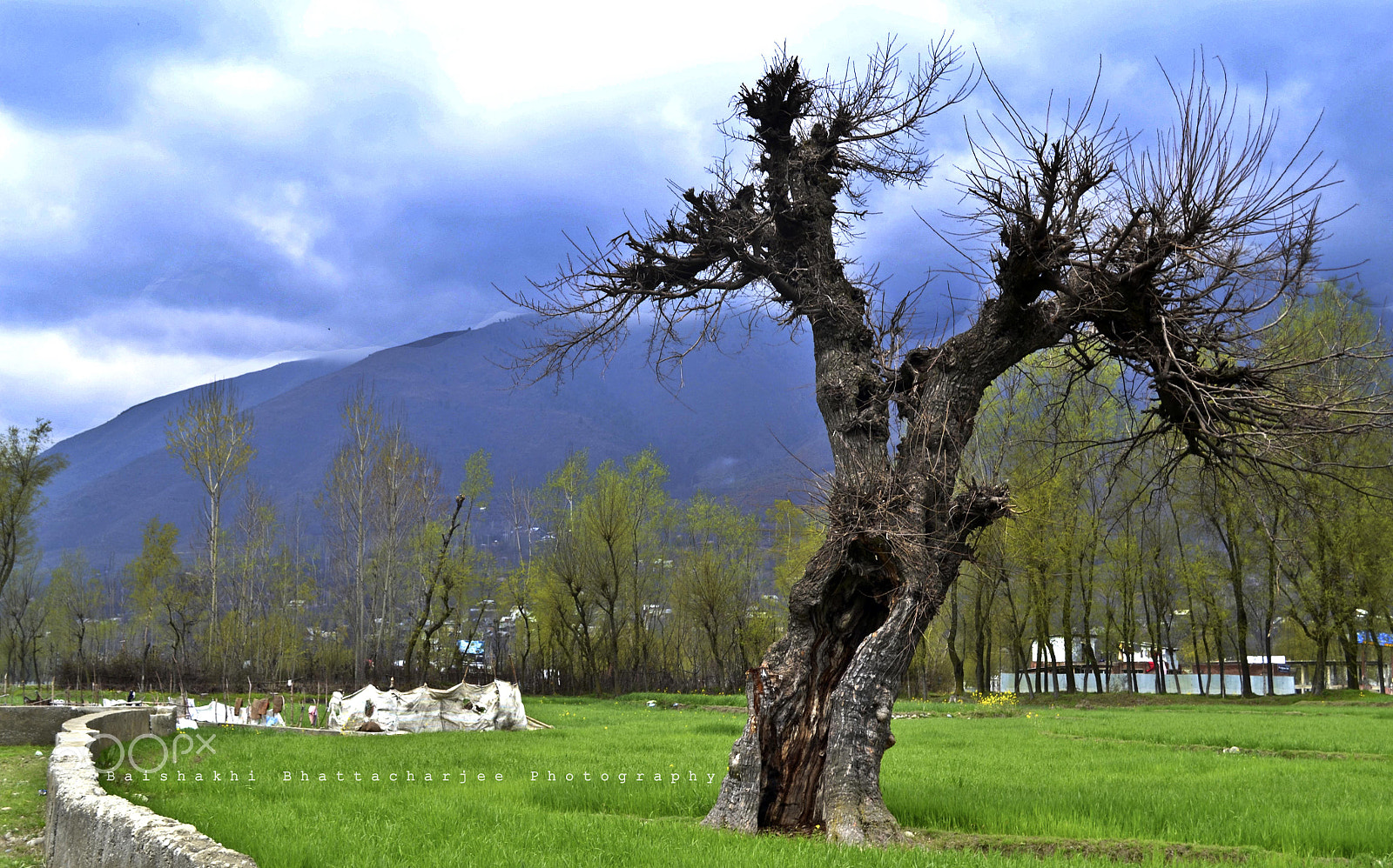 AF Zoom-Nikkor 35-70mm f/2.8D N sample photo. S t a n d     a l o n e photography