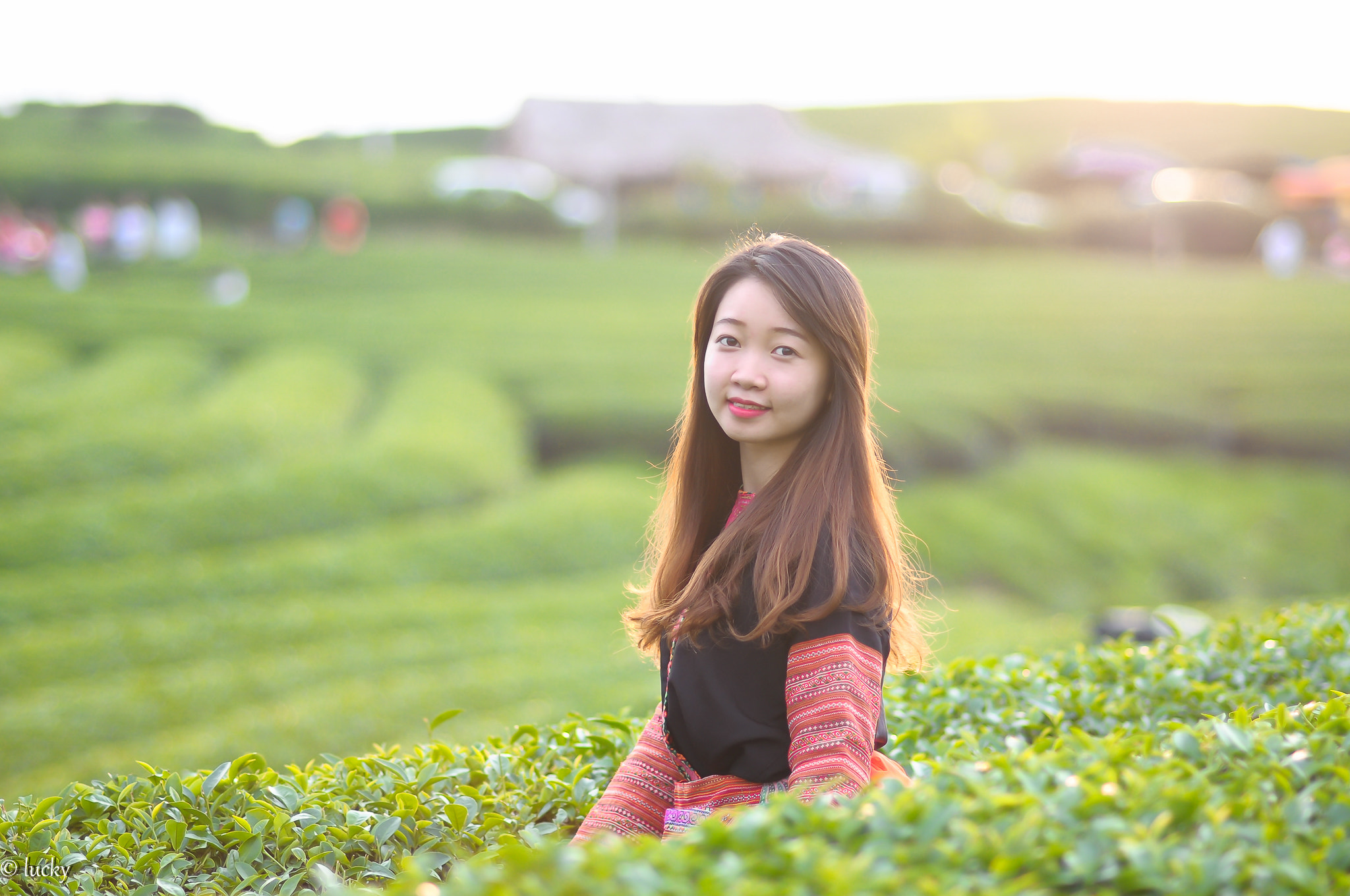 Nikon D300S + Nikon AF Nikkor 85mm F1.8D sample photo. Meo photography