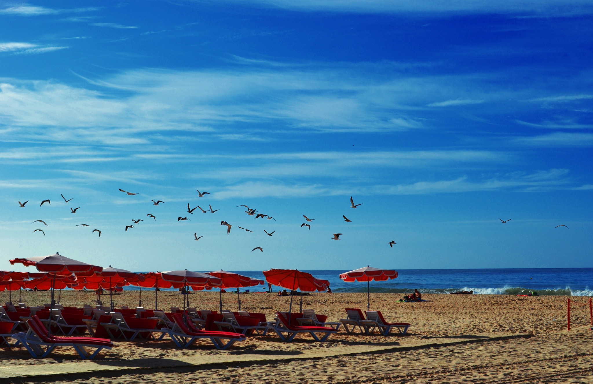 Sigma 150-500mm F5-6.3 DG OS HSM sample photo. Beach photography