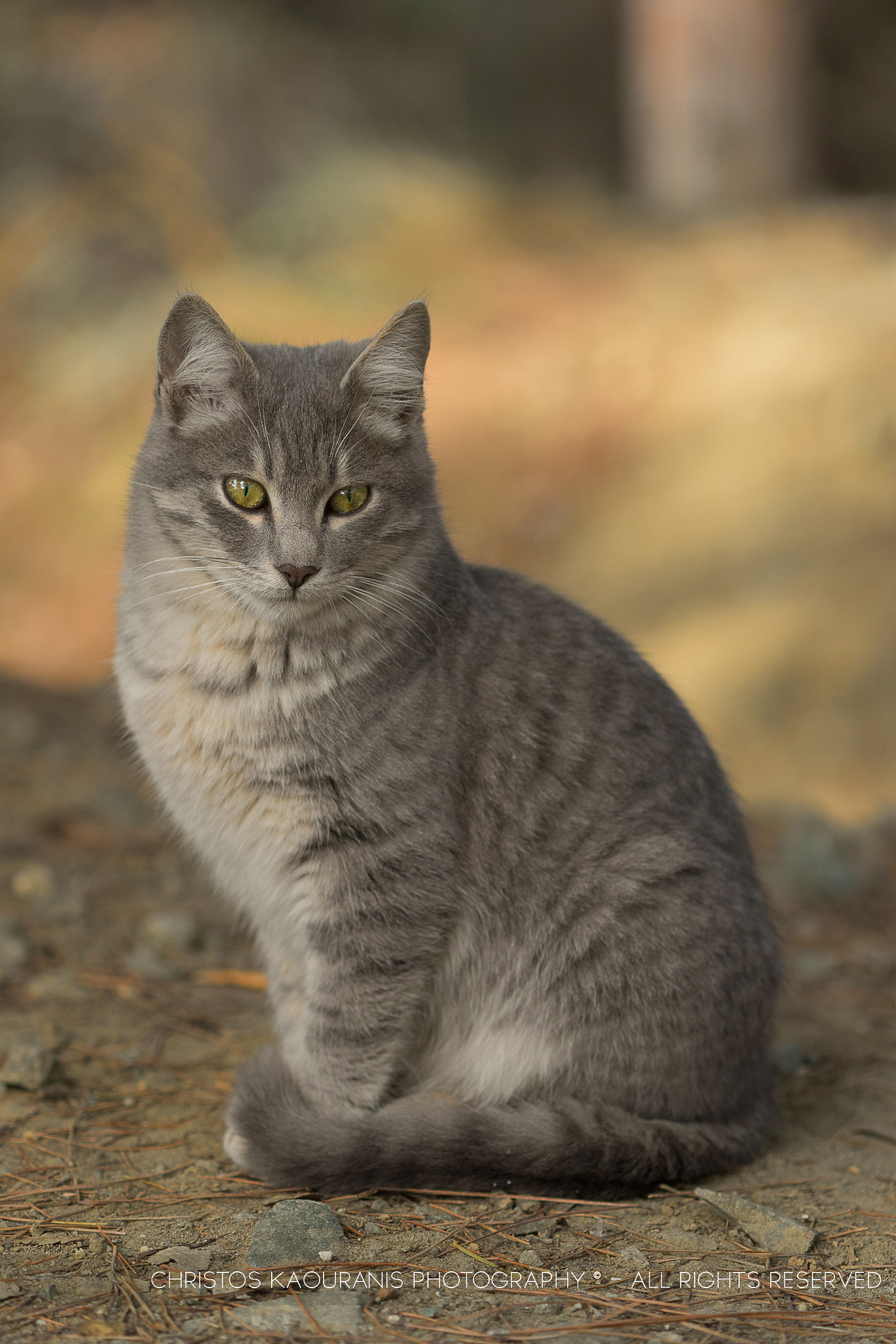 Canon EF 100mm F2.8 Macro USM sample photo. The perfect pose photography