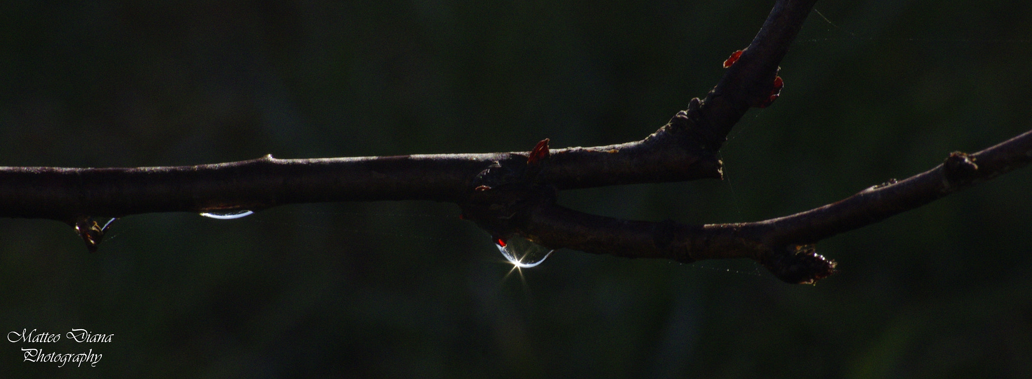 Pentax K-5 + smc PENTAX-DA L 50-200mm F4-5.6 ED sample photo. _igp7899.jpg photography