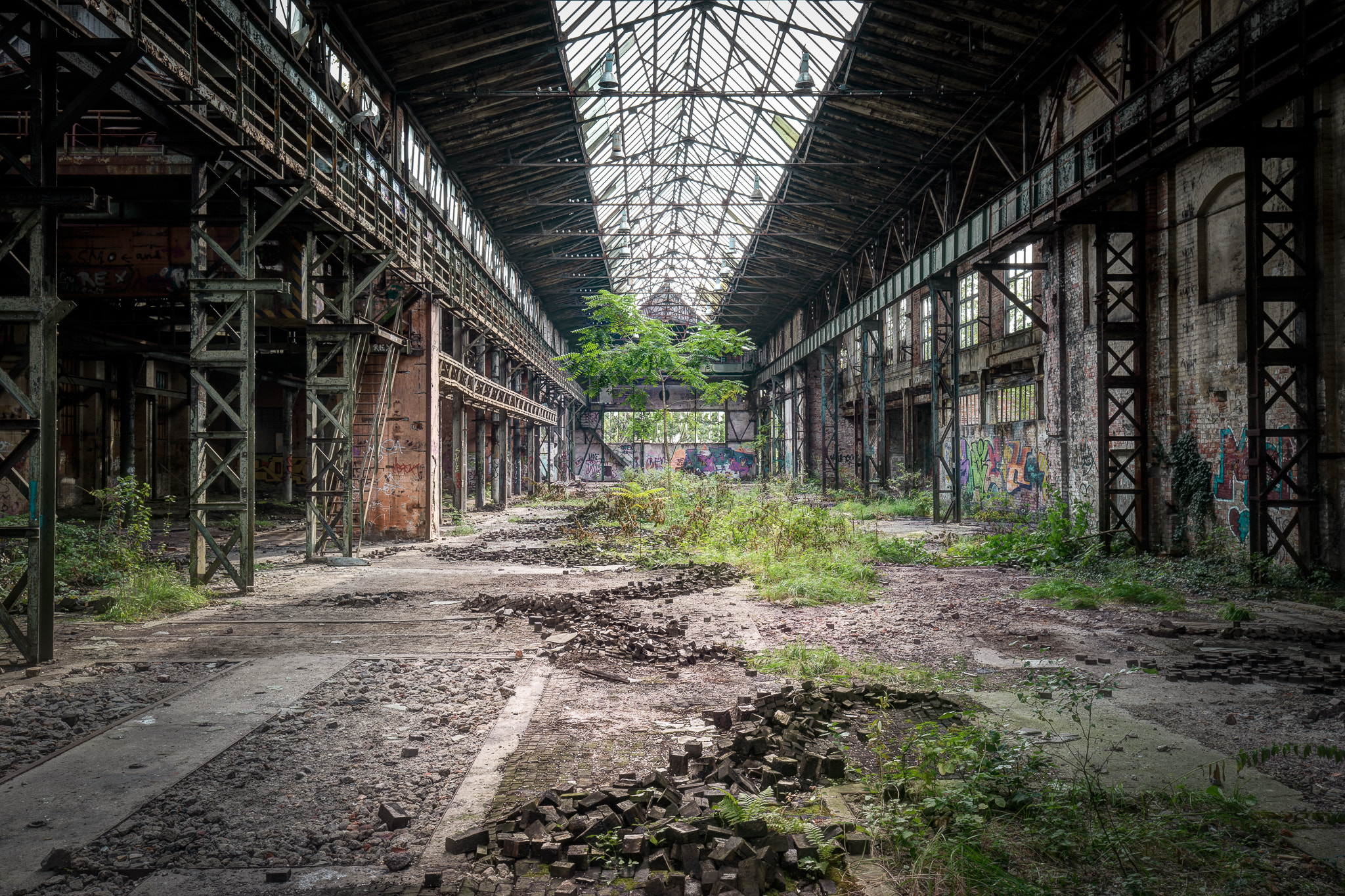 Sony a7 II + Canon EF 16-35mm F4L IS USM sample photo. Monsters playground photography