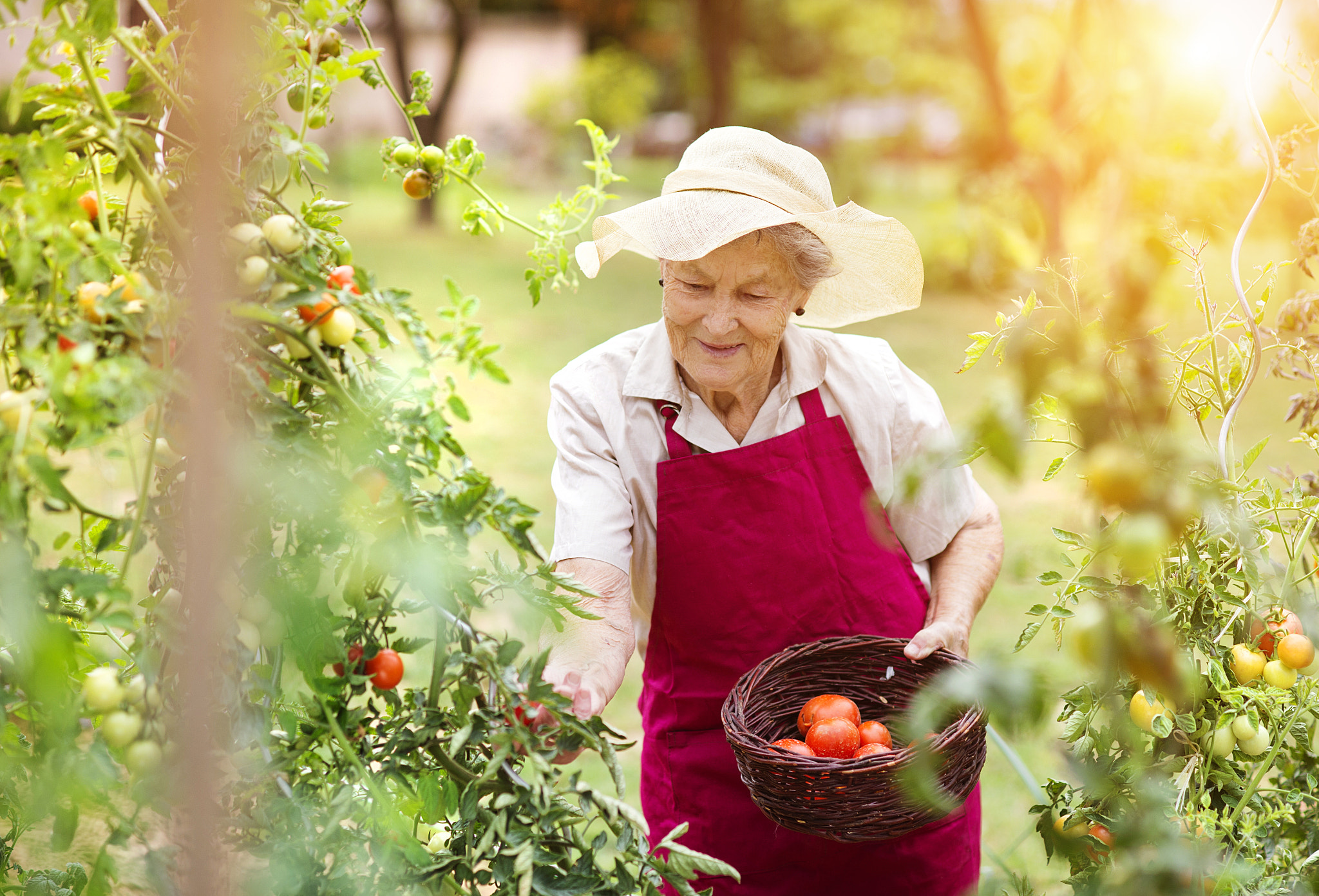 Nikon D4S + Nikon AF Nikkor 85mm F1.8D sample photo. Senior woman in her garden photography