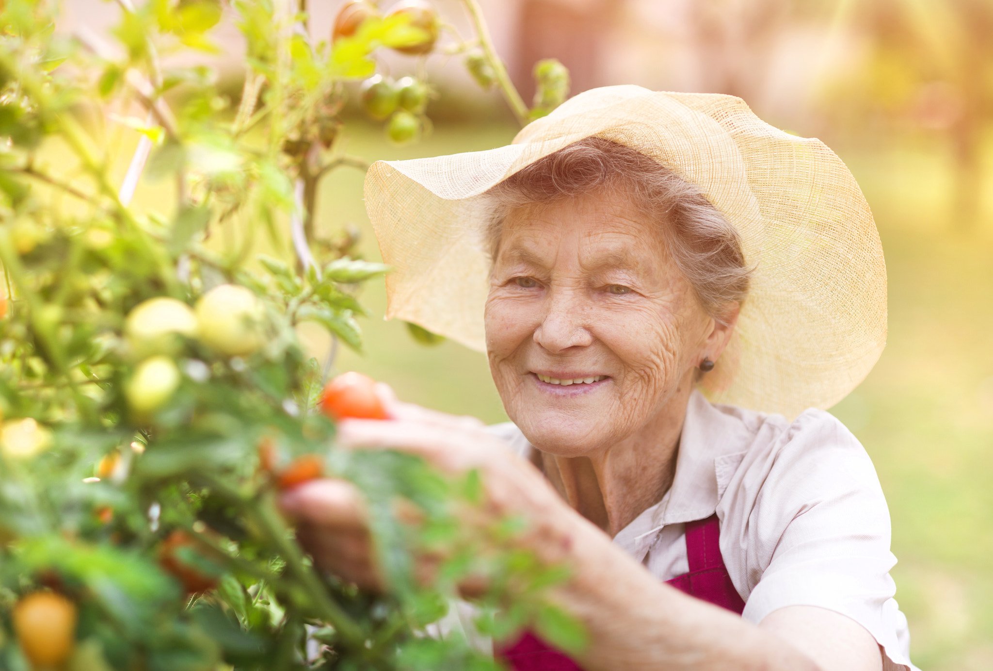 Nikon D4S + Nikon AF Nikkor 85mm F1.8D sample photo. Senior woman in her garden photography