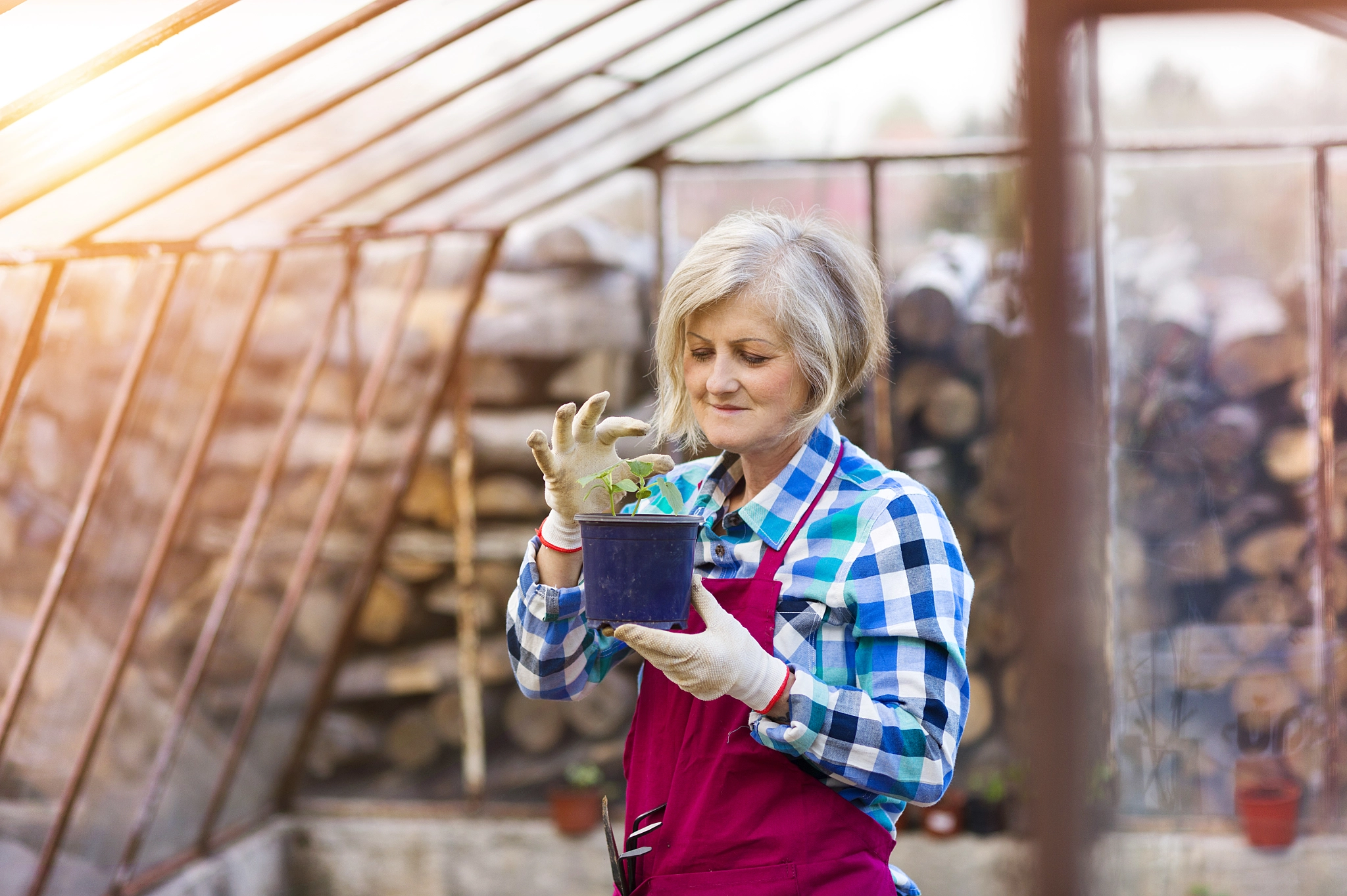Nikon D4S + Nikon AF Nikkor 85mm F1.8D sample photo. Senior woman in greenhouse photography